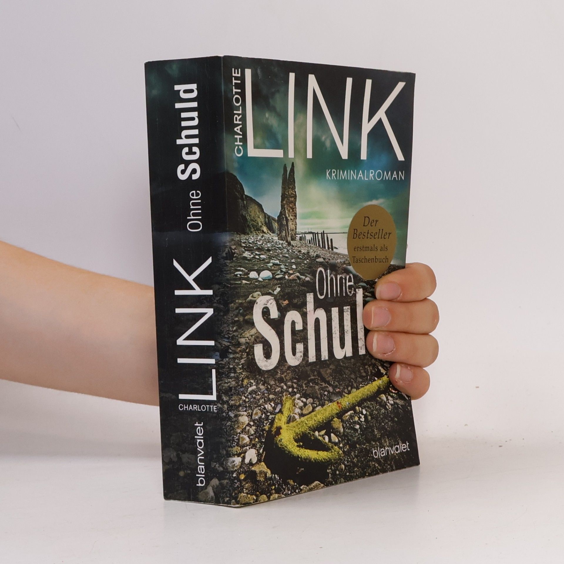 Charlotte Link Ohne Schuld
