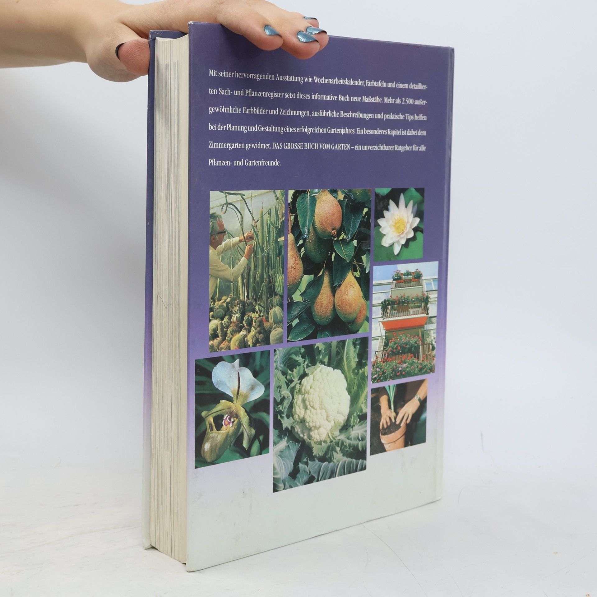 Autorenkollektiv Mein grosses Gartenbuch
