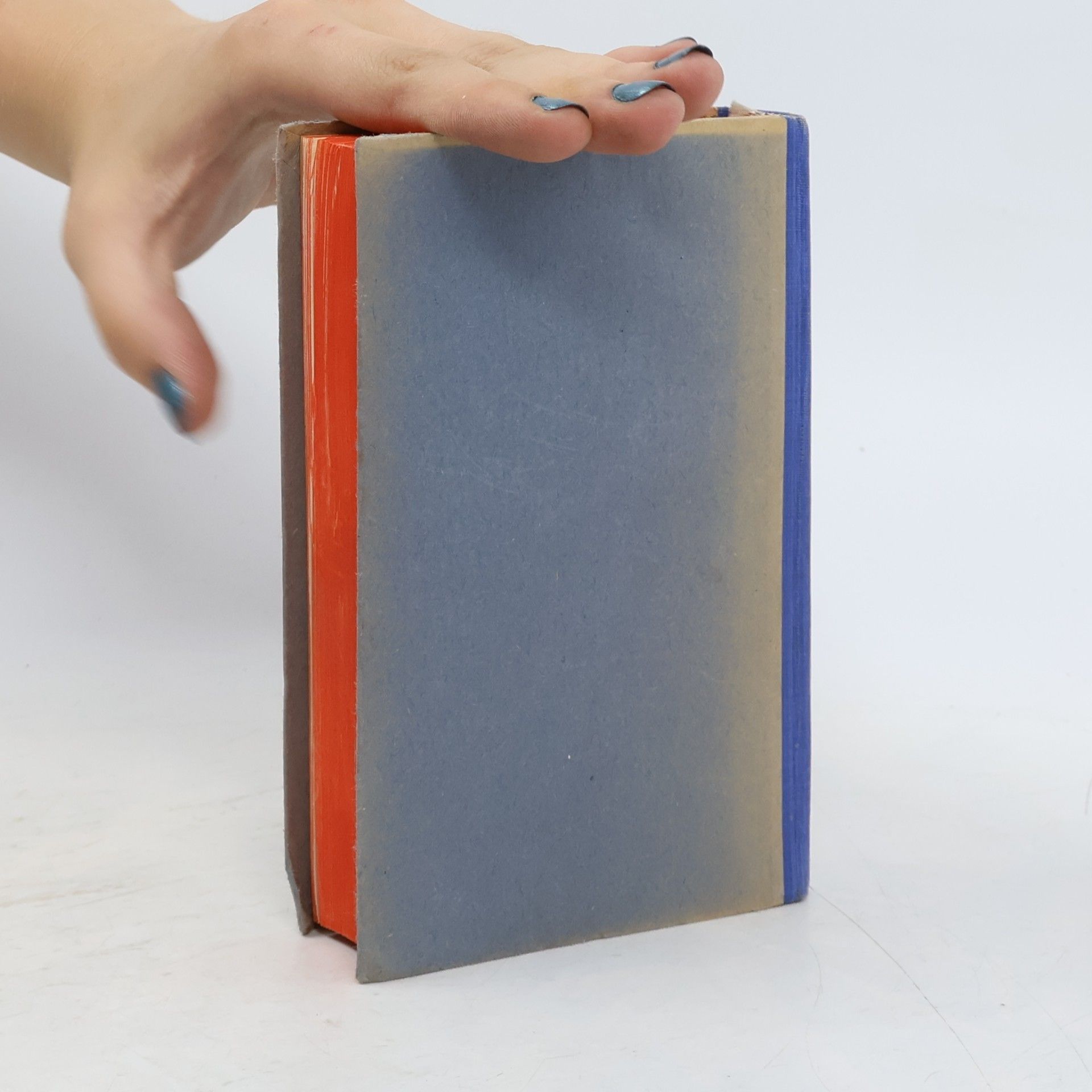 Heindrich Neudert Deutsch-Tschechisches Wörterbuch für Schule, Amt, Haus, Handel und Industrie. Německo-český slovník pro školu, úřad, dům, obchod a průmysl