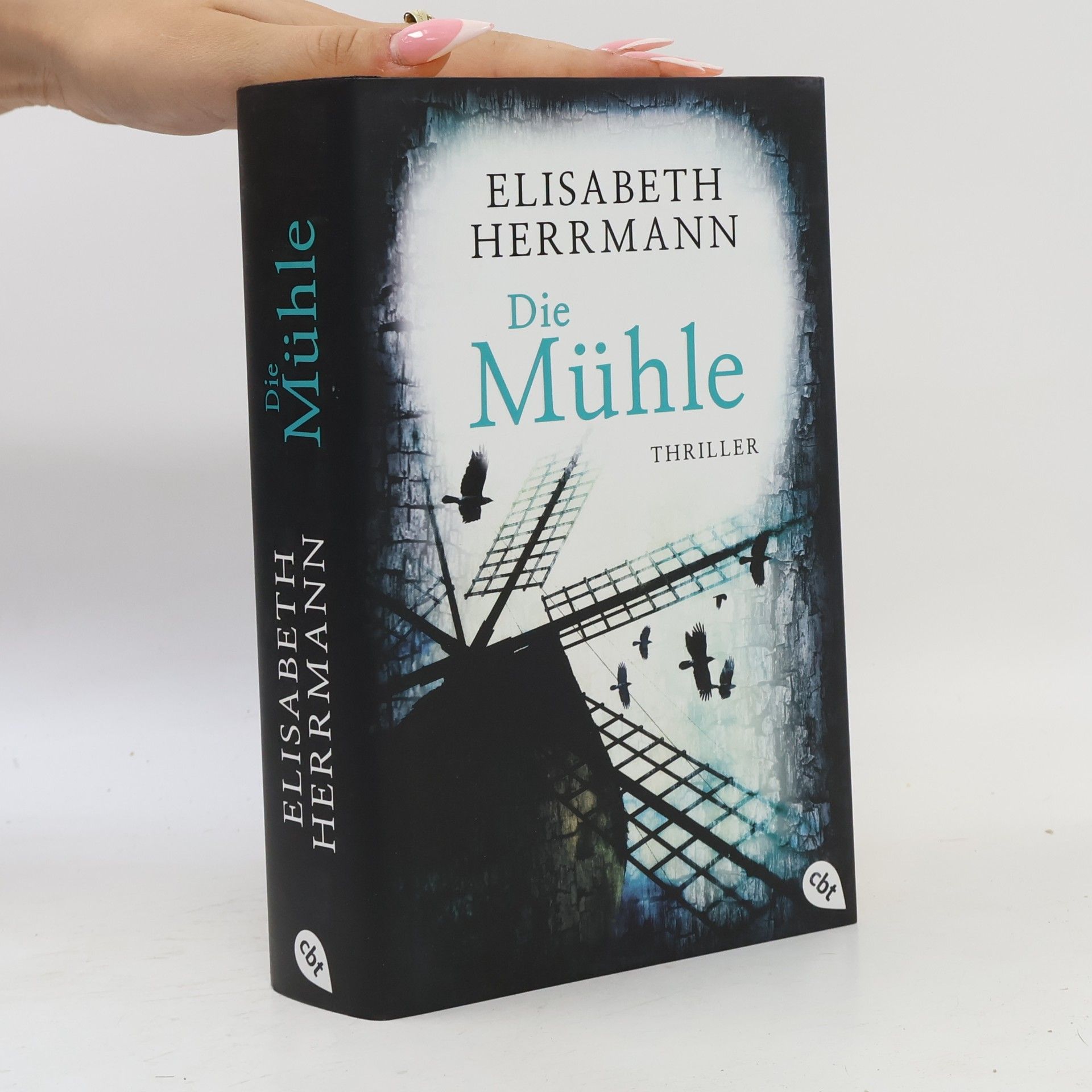 Elisabeth Hermann Die Mühle