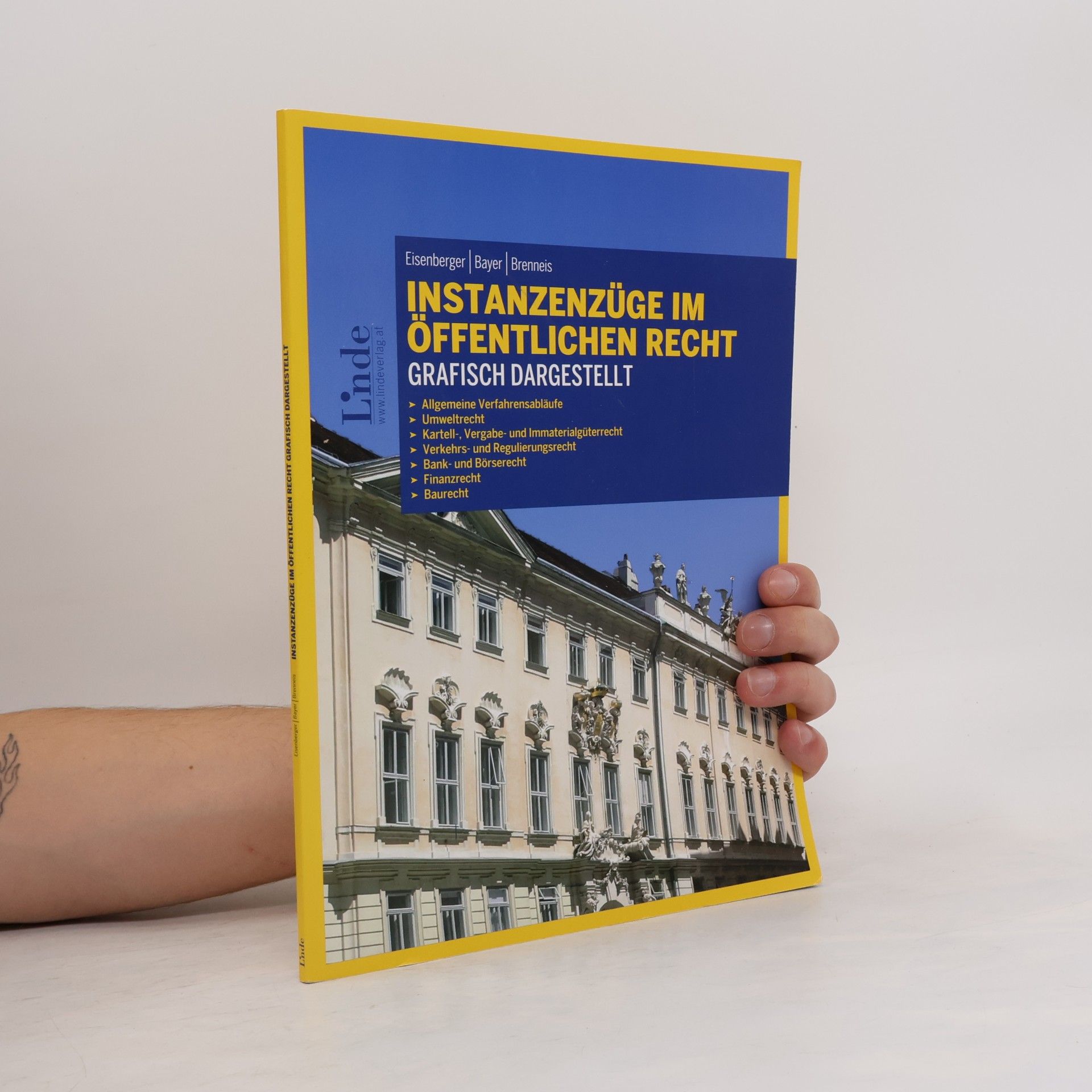 Alexander Brenneis Instanzenzüge im öffentlichen Recht grafisch dargestellt