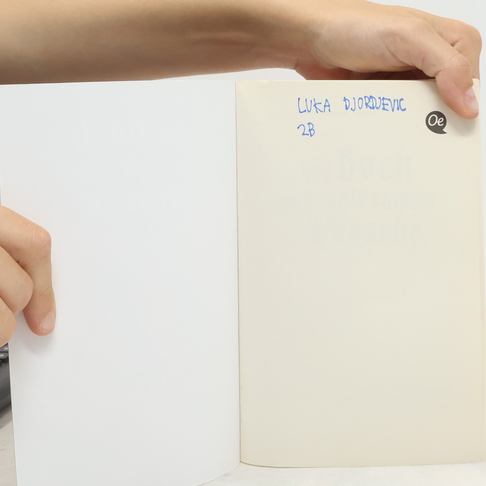 Angie Westhoff Das Buch der seltsamen Wünsche