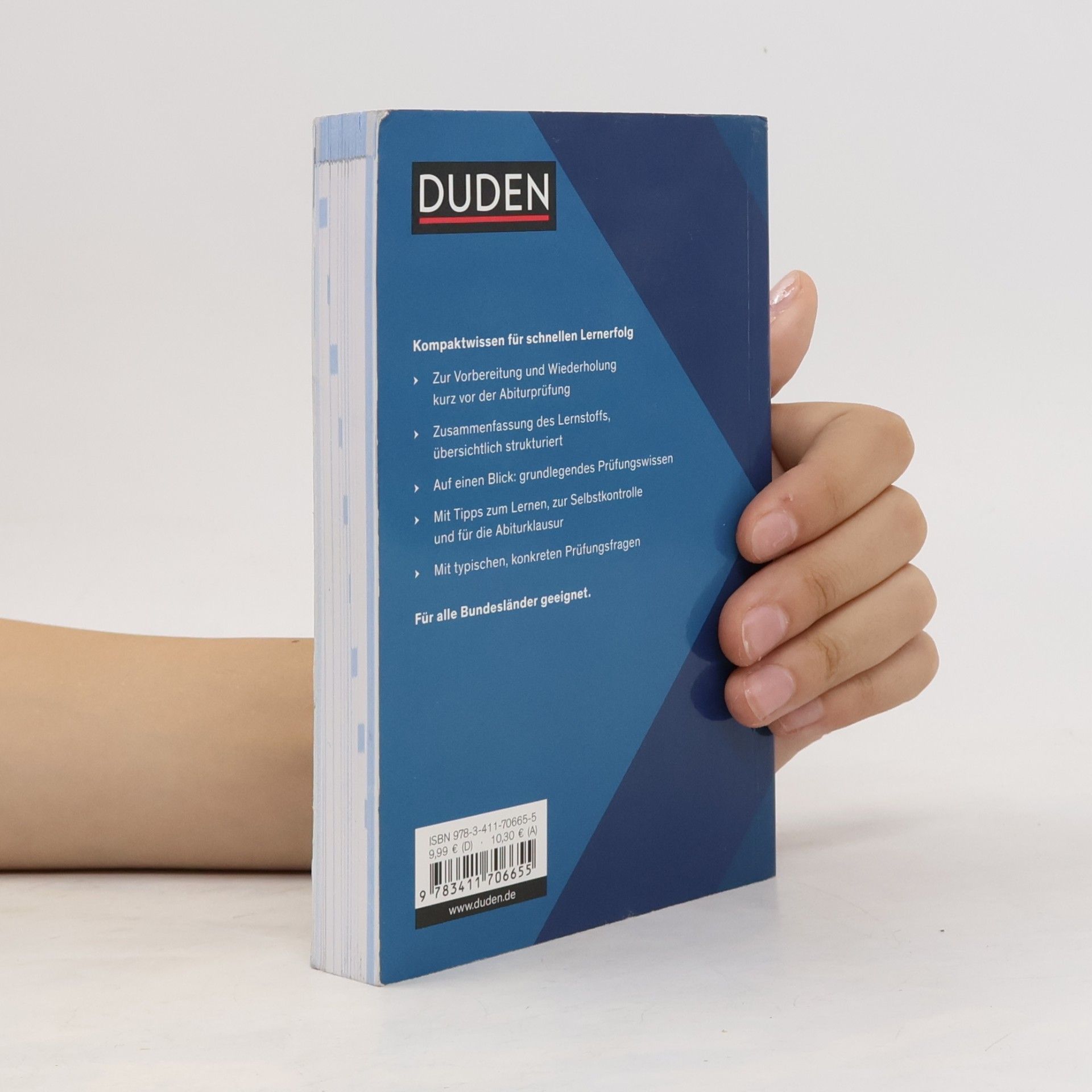 Michael Bornemann Abi genial Mathematik: Das Schnell-Merk-System