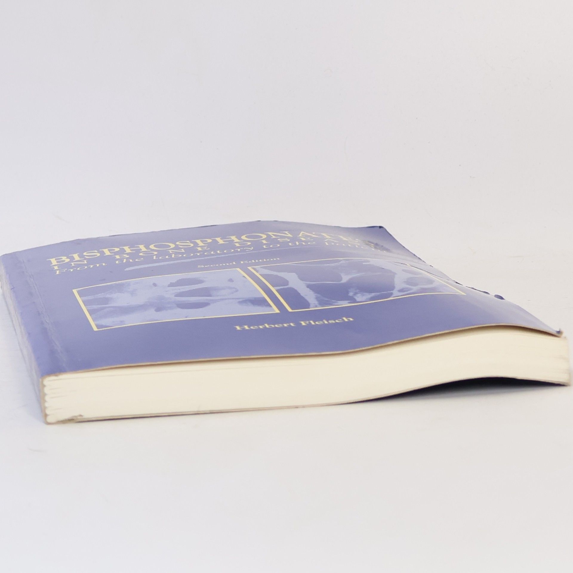 Herbert Fleisch Bisphosphonates in Bone Disease