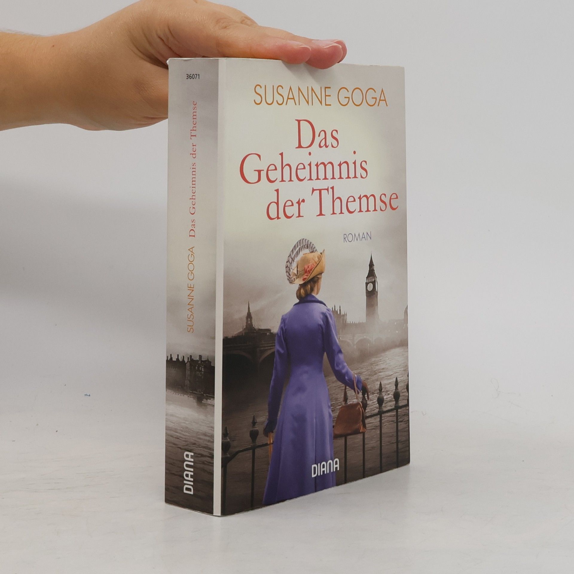 Susanne Goga Das Geheimnis der Themse