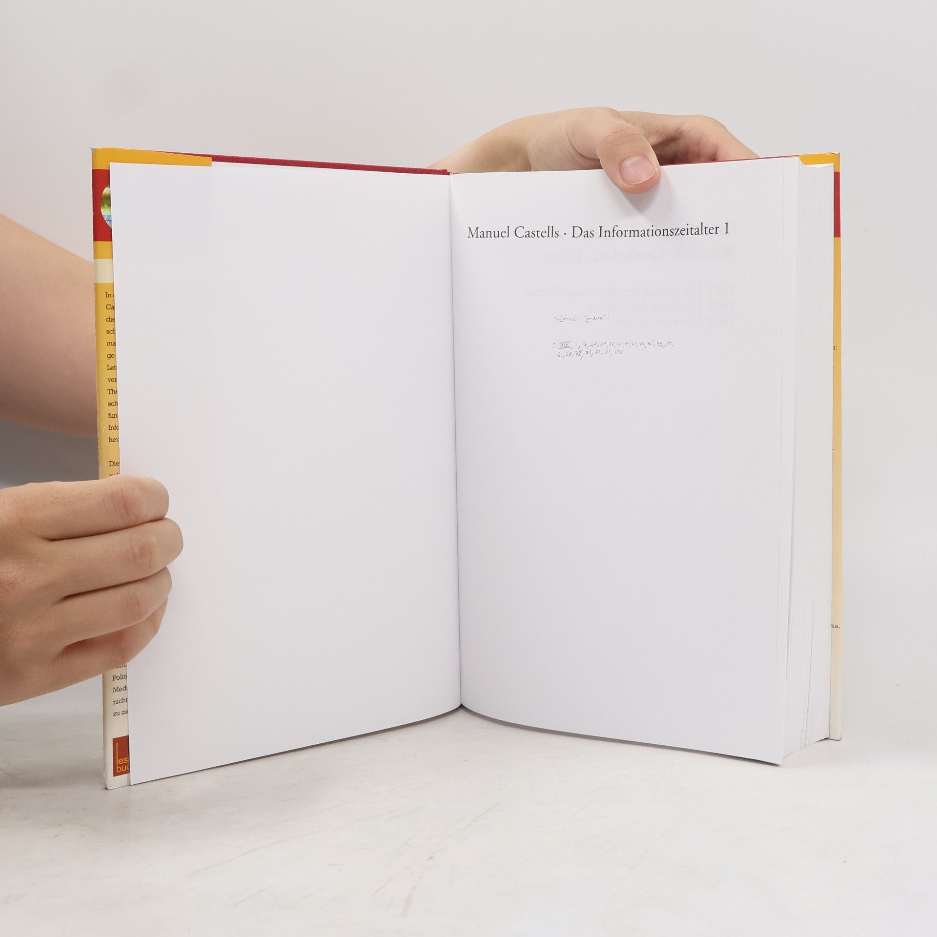 Manuel Castells Das Informationszeitalter