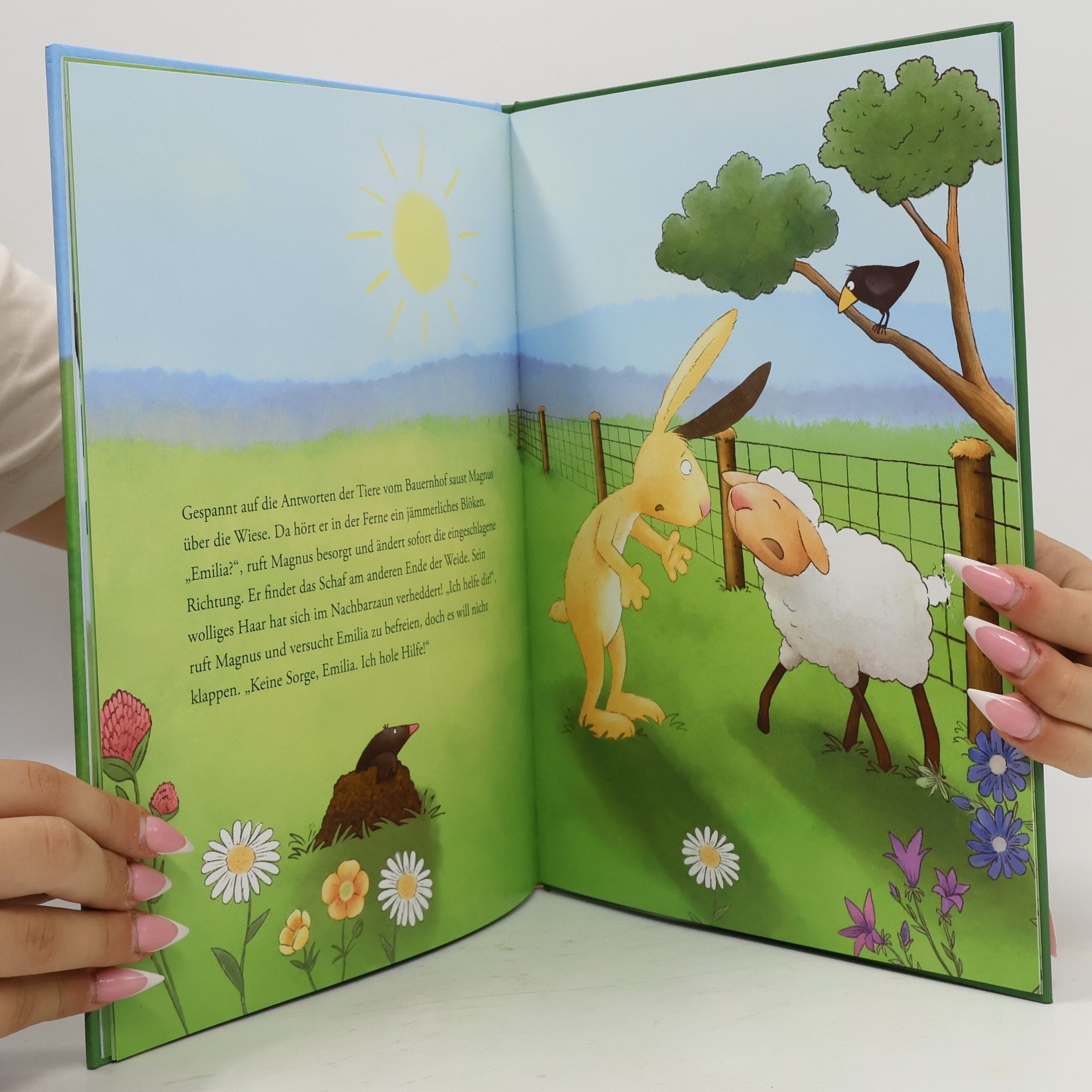 Ulrike Motschiunig Hoppla, kleiner Hase!
