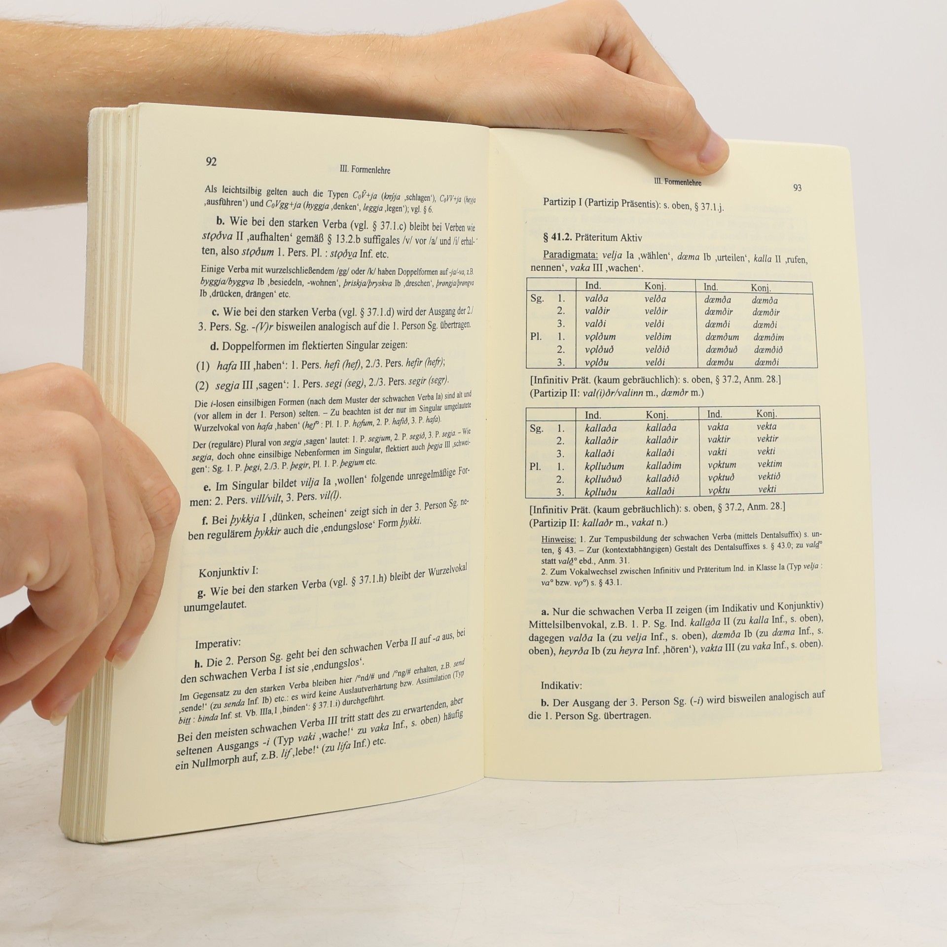 Robert Nedoma Kleine Grammatik des Altisländischen