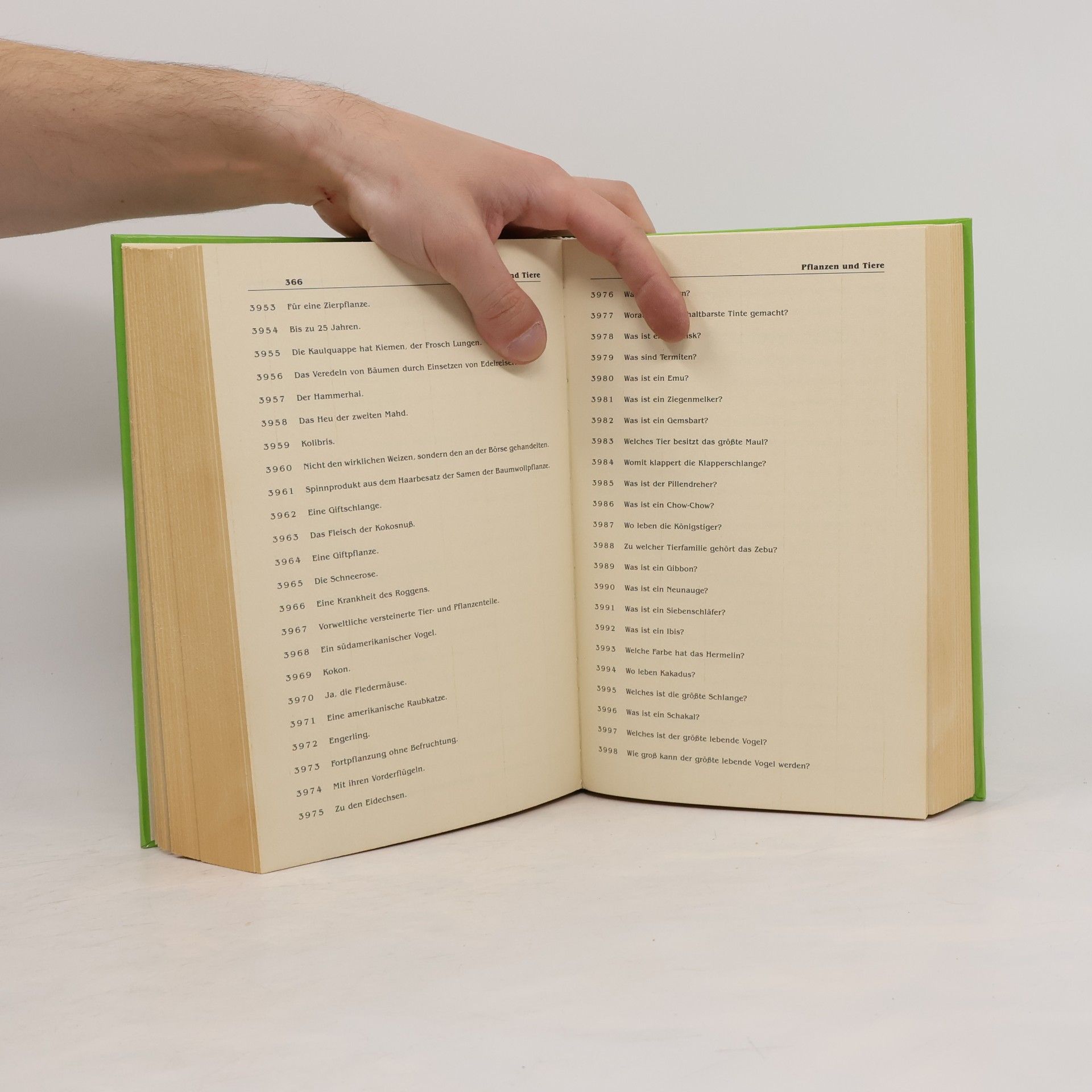 Helga Thamm Das riesengrosse Quizbuch