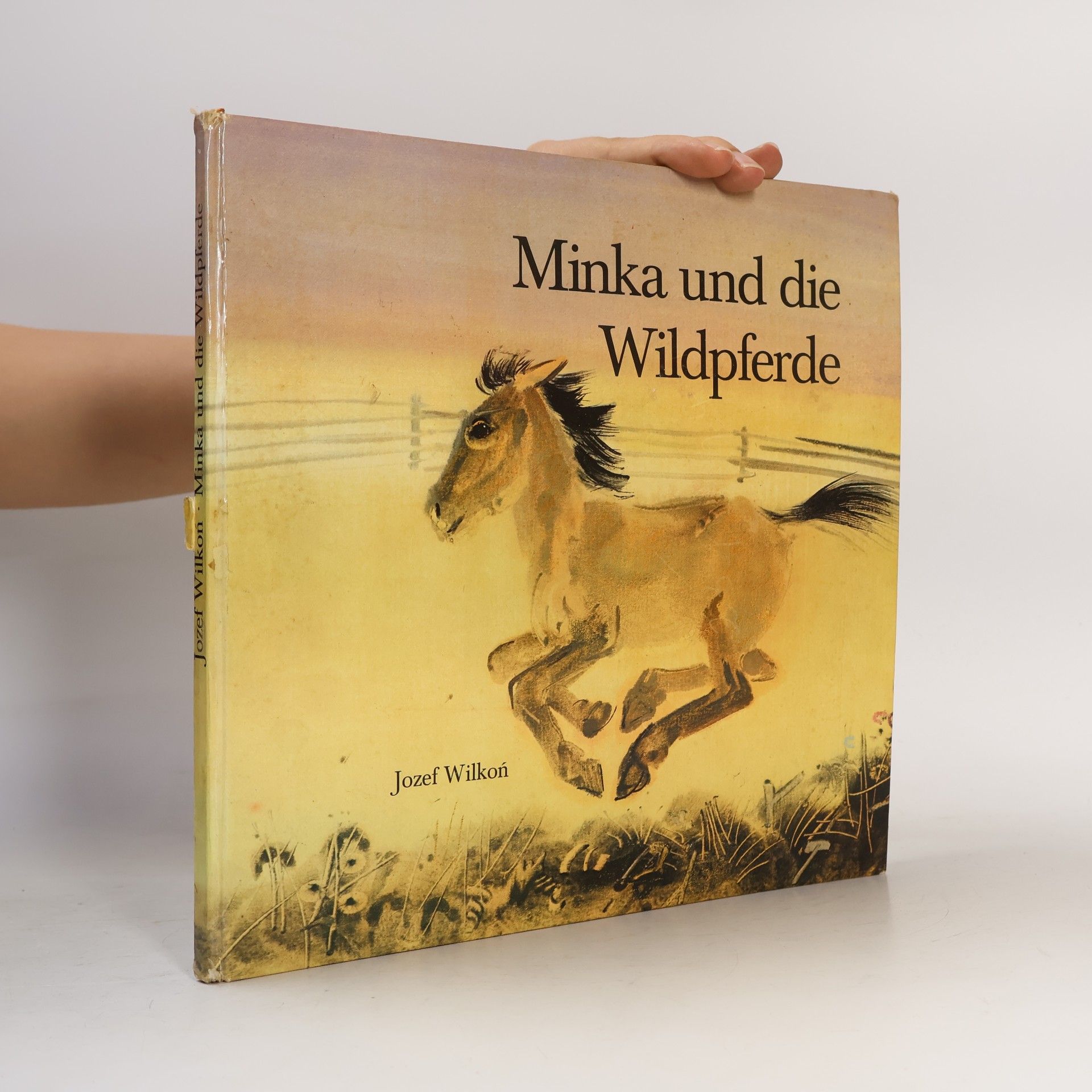 Józef Wilkoń Minka und die Wildpferde