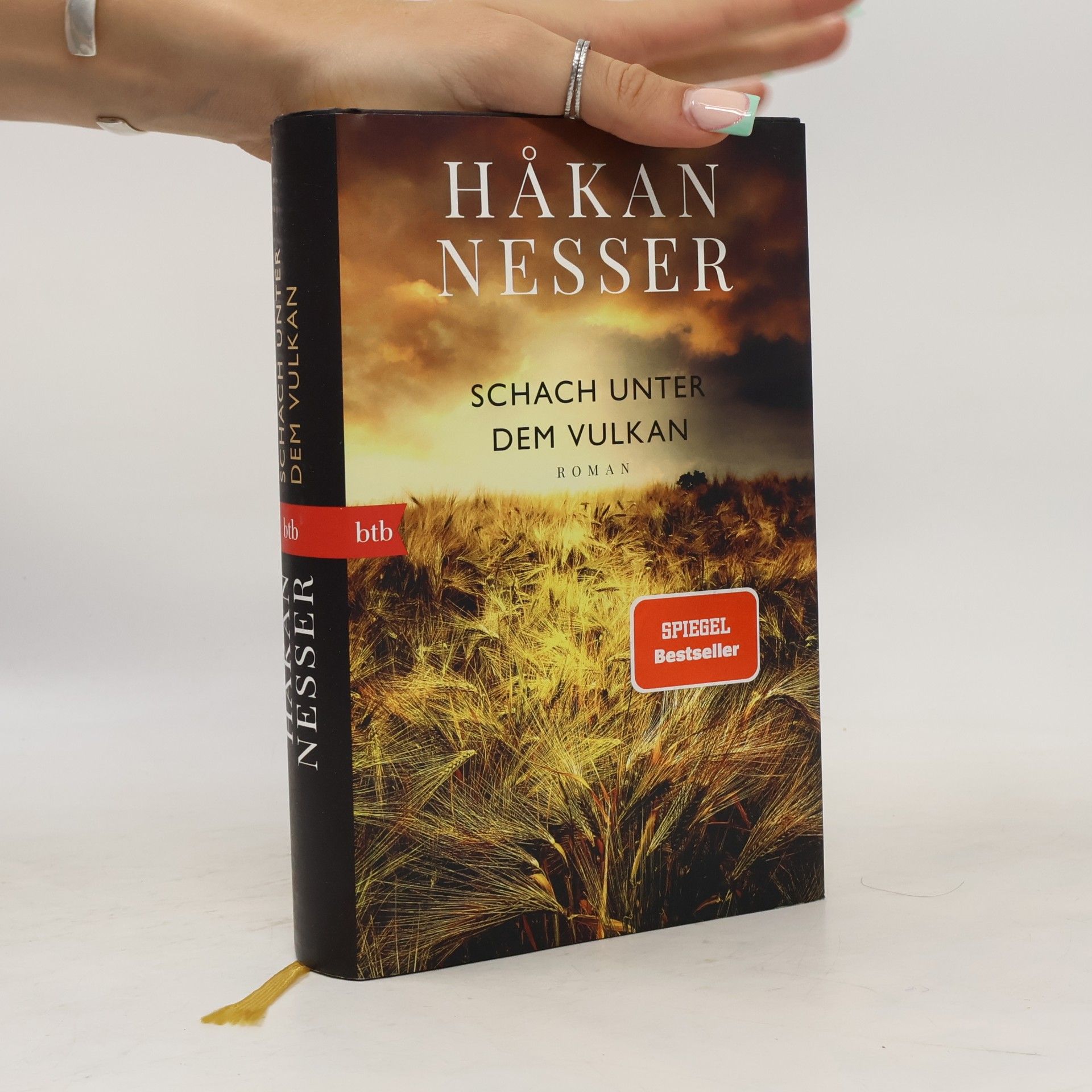 Hakan Nesser Schach unter dem Vulkan