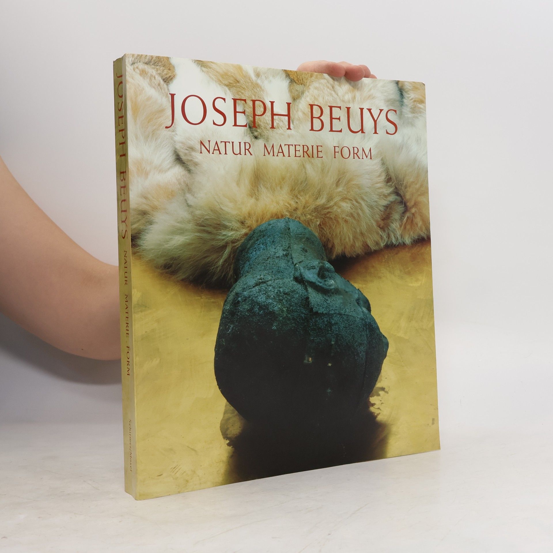 Joseph Beuys Joseph Beuys