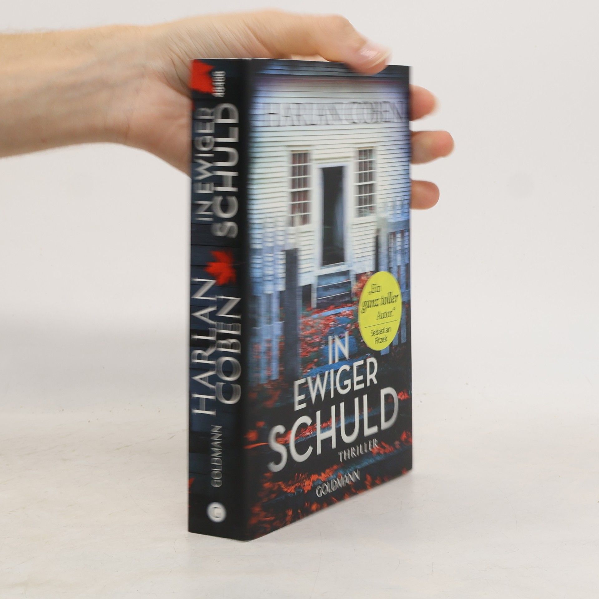 Harlan Coben In ewiger Schuld