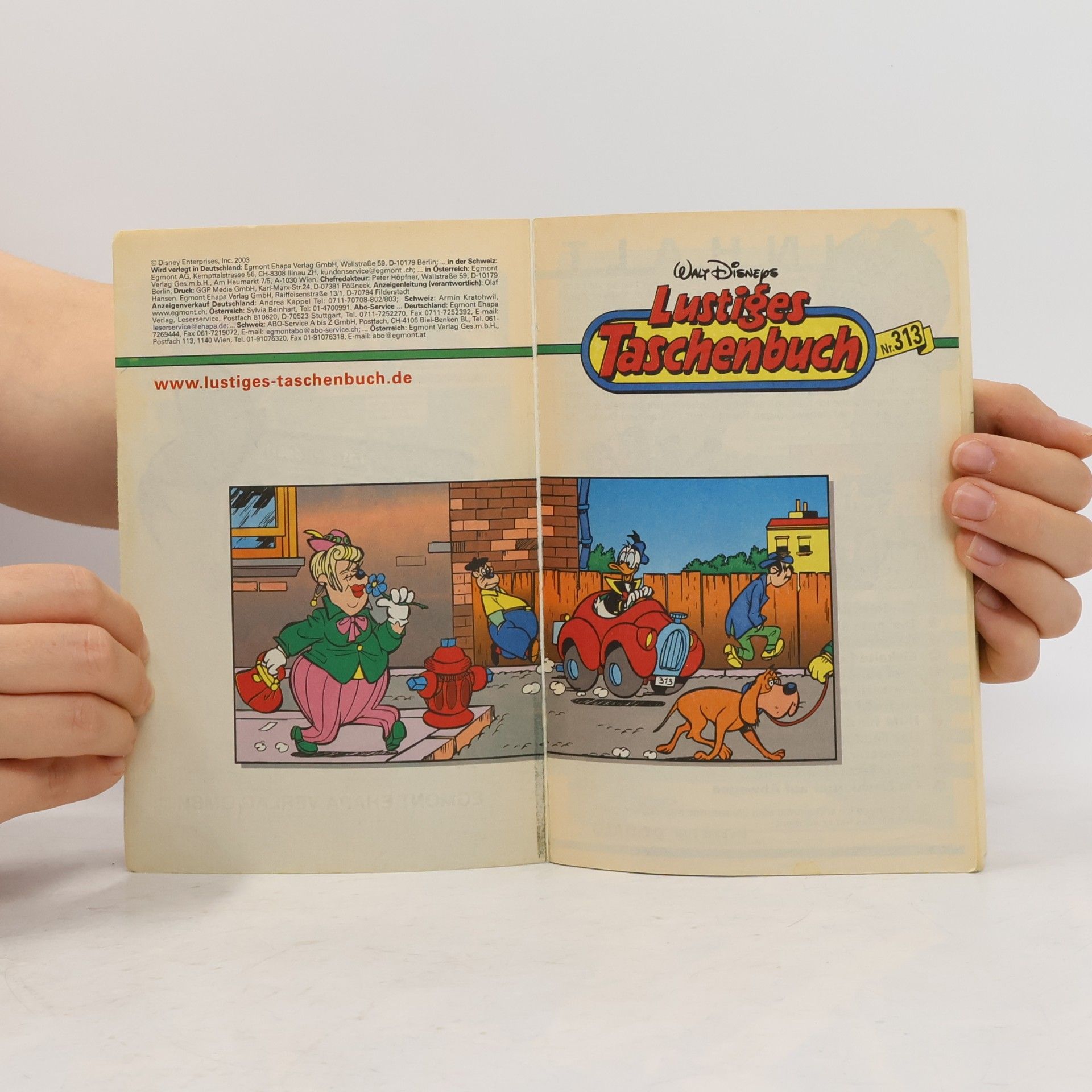 Walt Disney Lustiges Taschenbuch 313