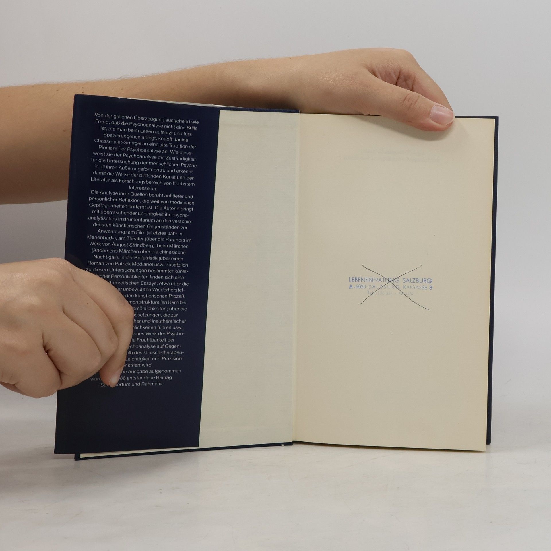 Janine Chasseguet-Smirgel Kunst und schöpferische Persönlichkeit
