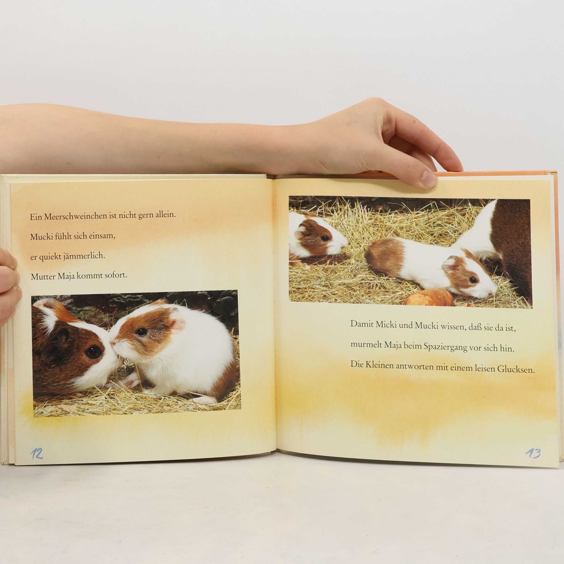 Gisela Buck Micki und Mucki - zwei kleine Meerschweinchen