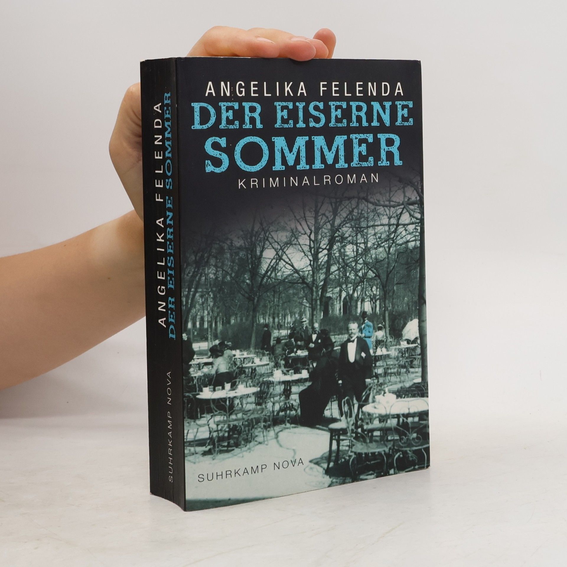 Angelika Felenda Der eiserne Sommer
