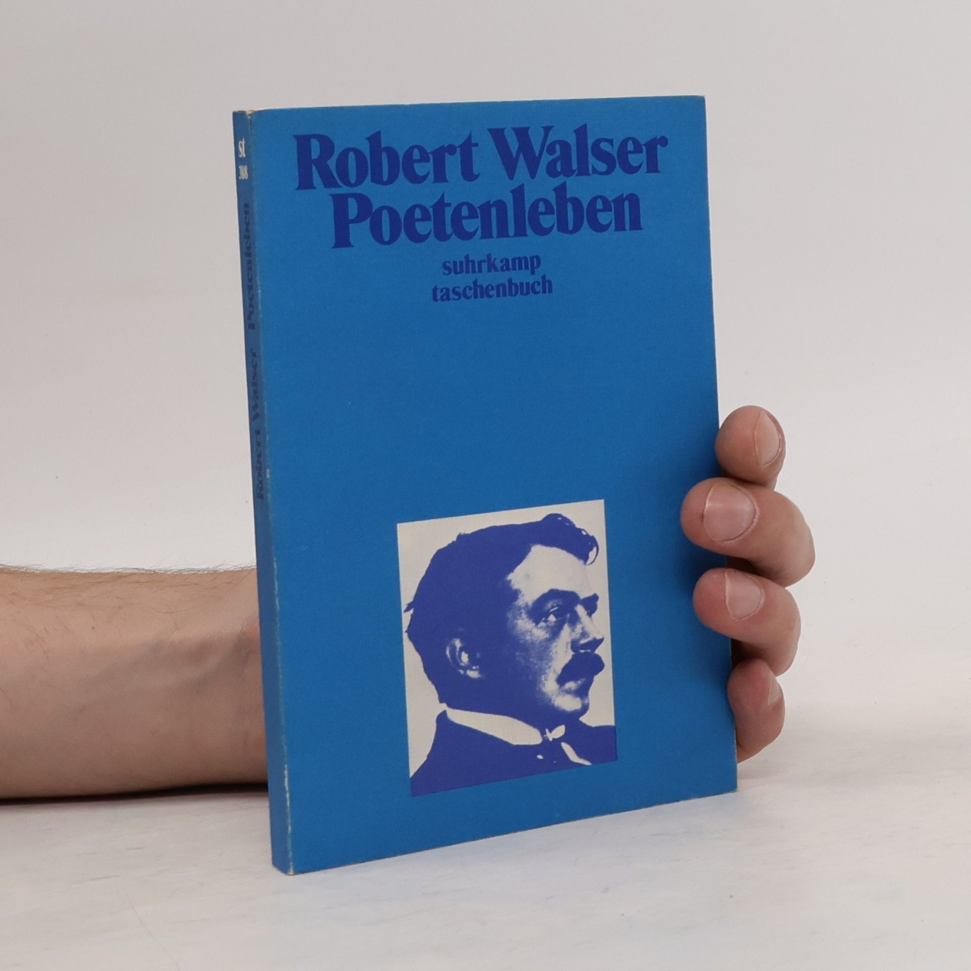 Robert Walser Poetenleben