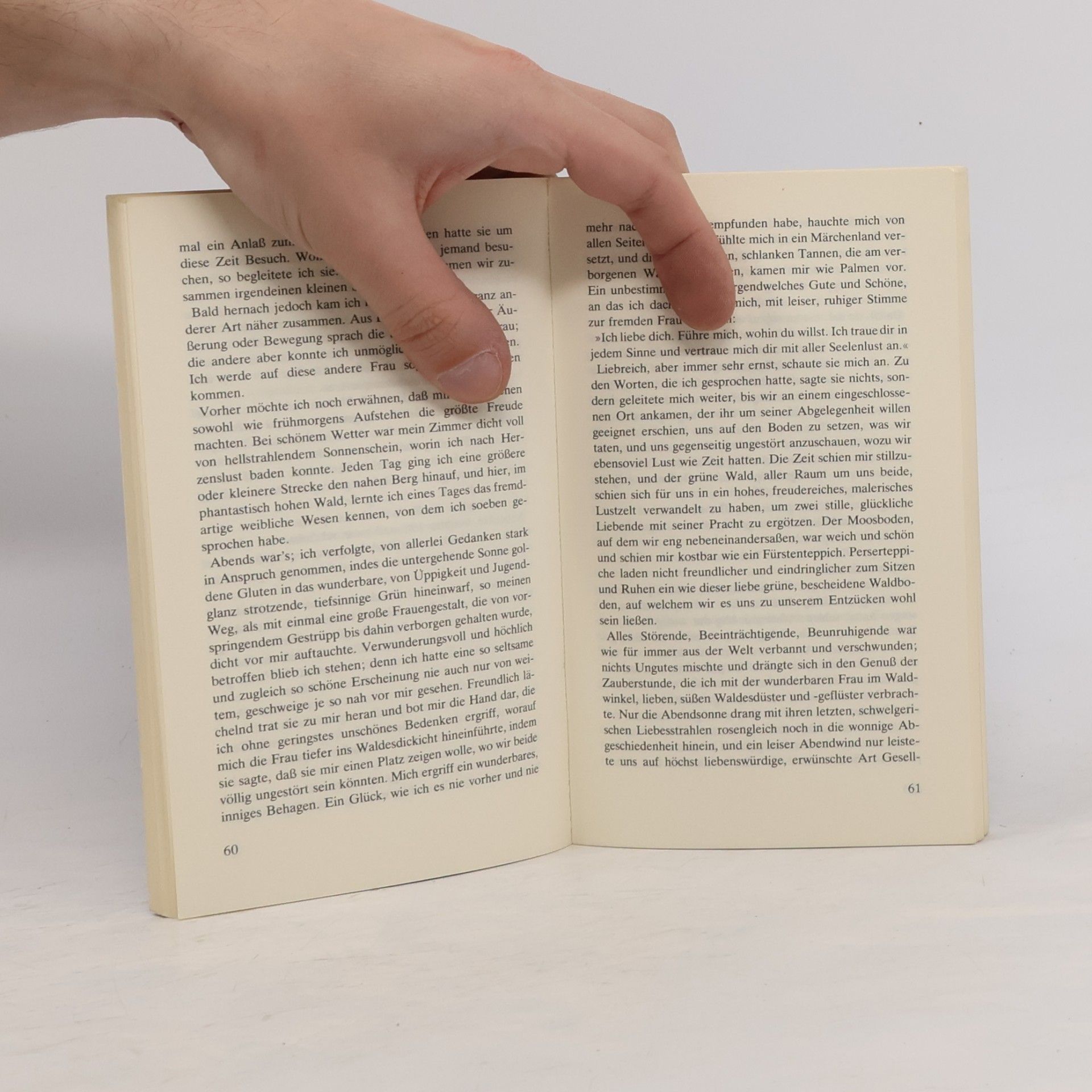 Robert Walser Poetenleben