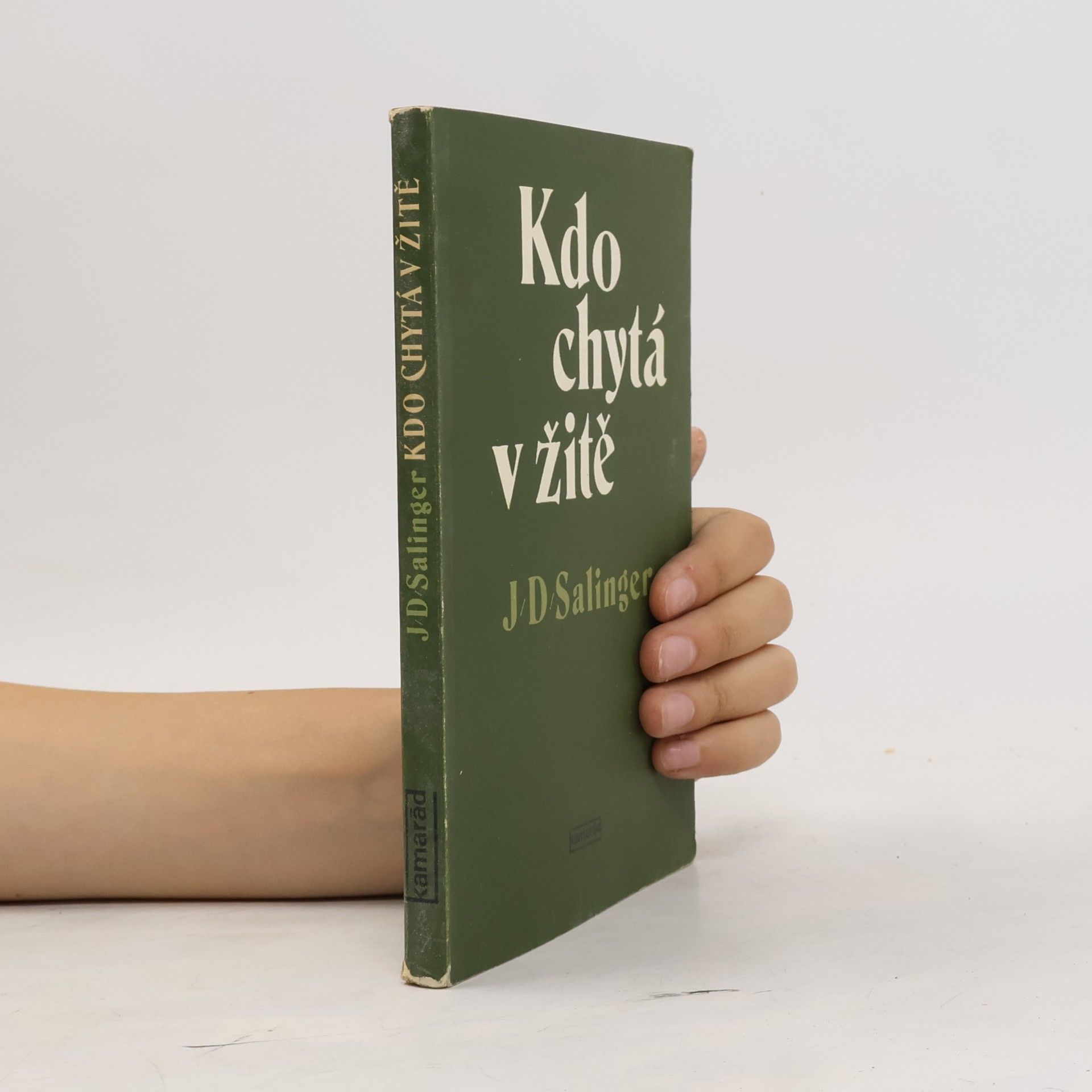 Jerome David Salinger Kdo chytá v žitě