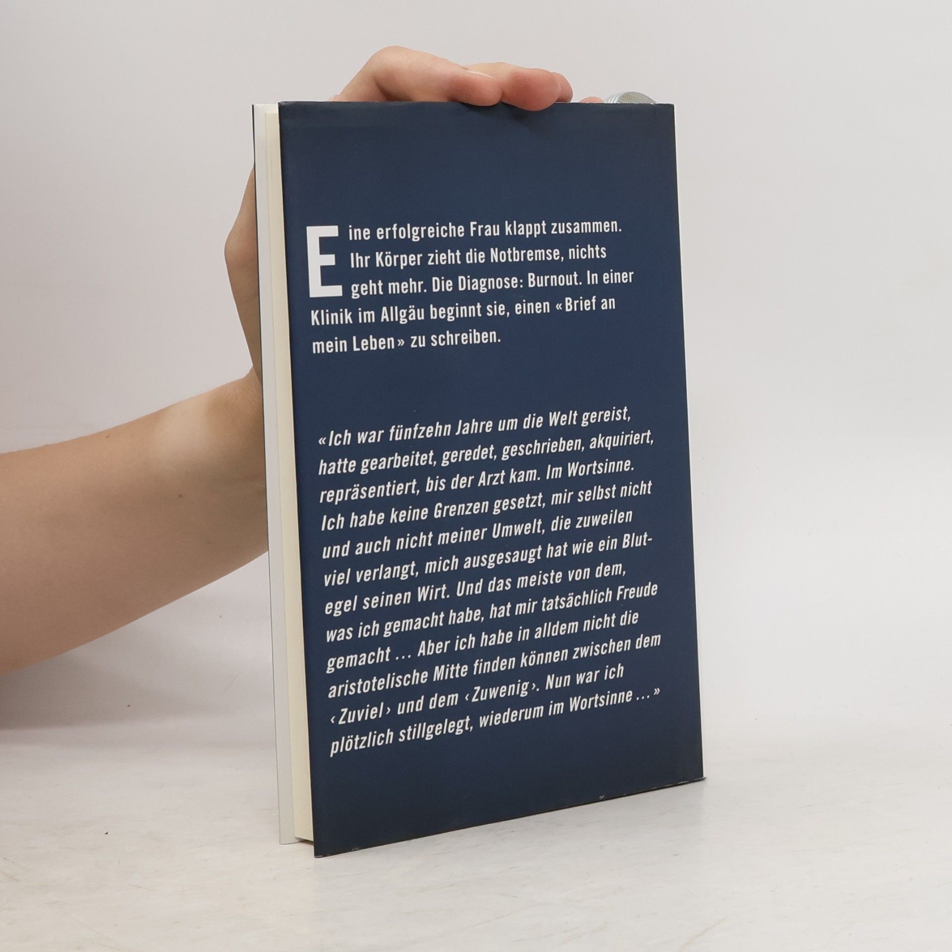 Miriam Meckel Brief an mein Leben