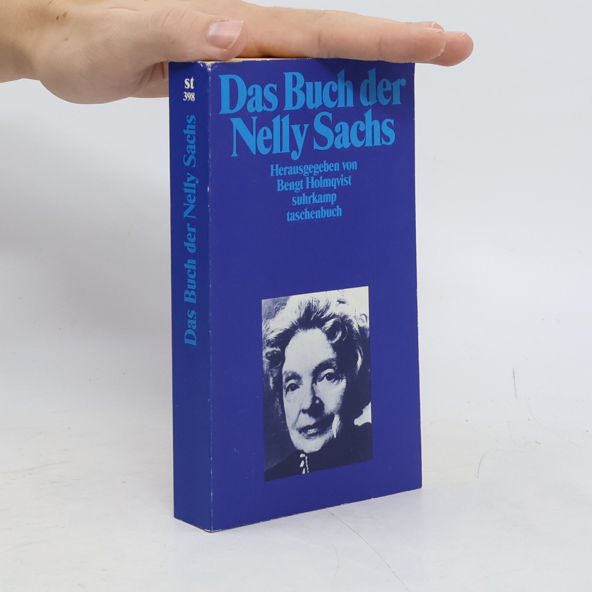 Bengt Holmqvist Das Buch der Nelly Sachs