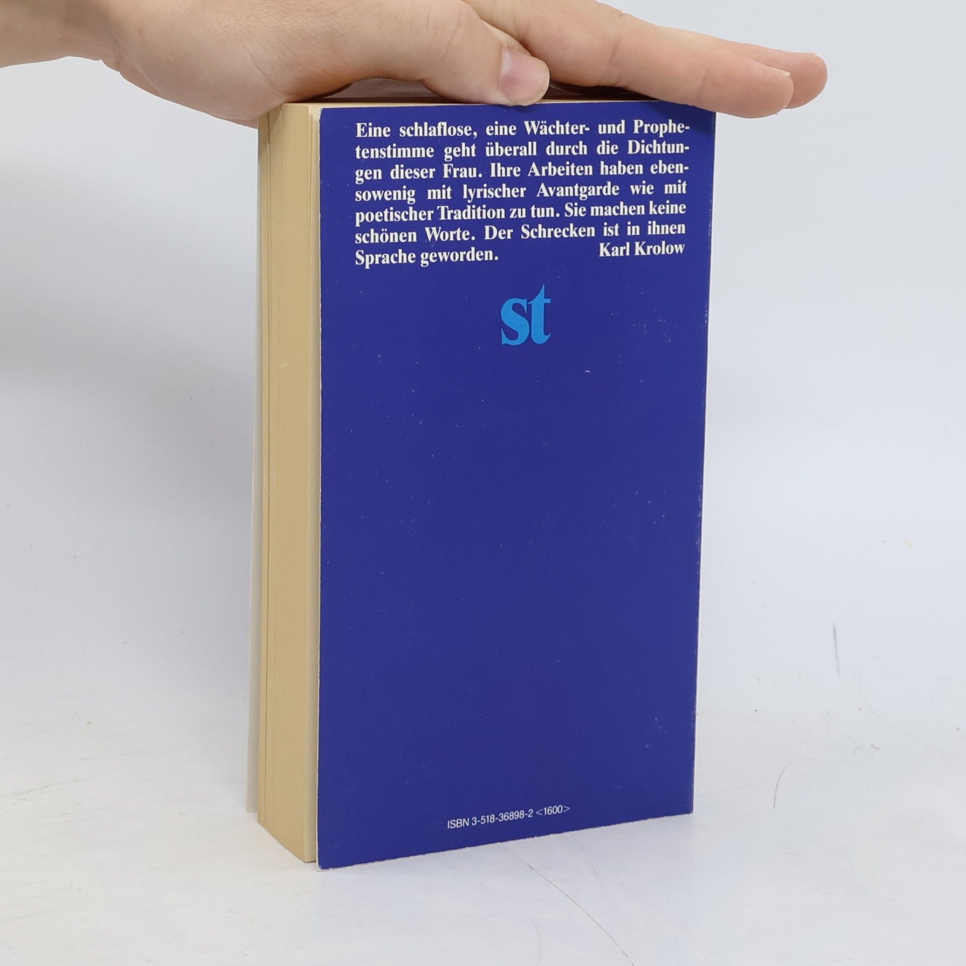 Bengt Holmqvist Das Buch der Nelly Sachs