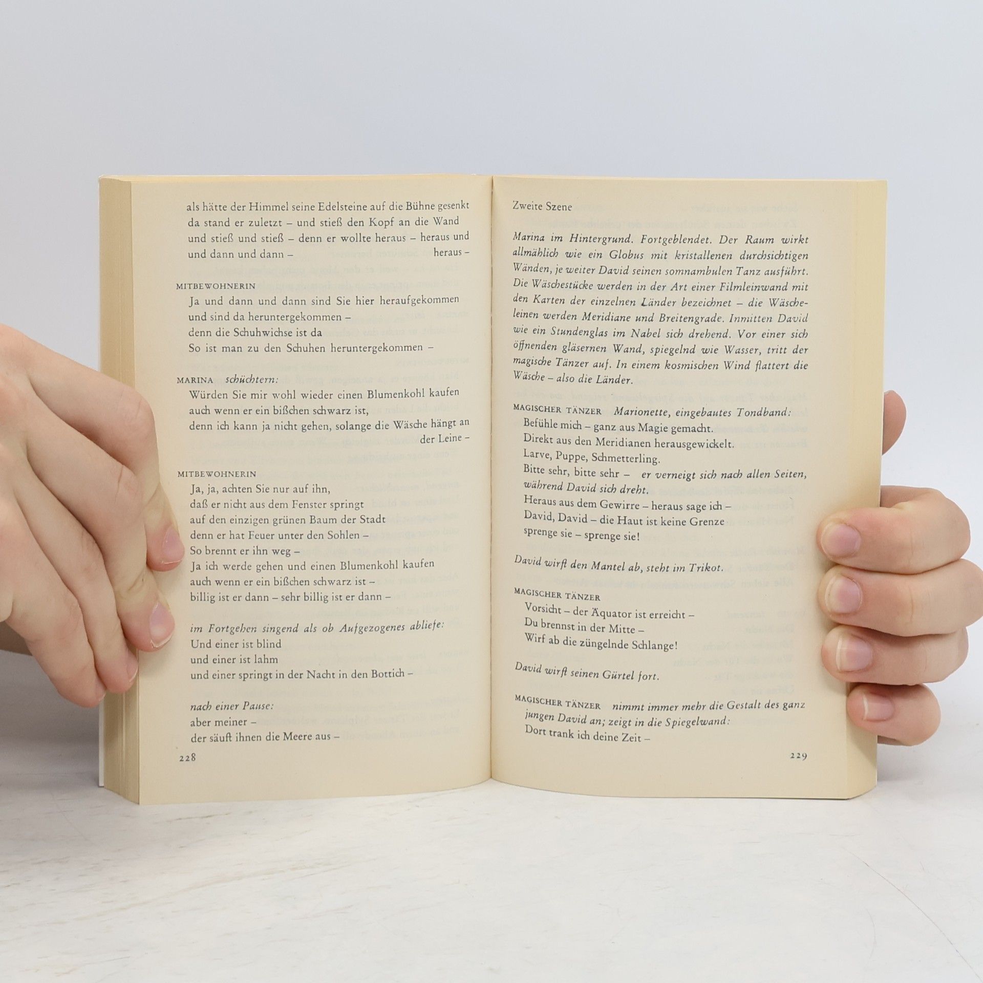 Bengt Holmqvist Das Buch der Nelly Sachs