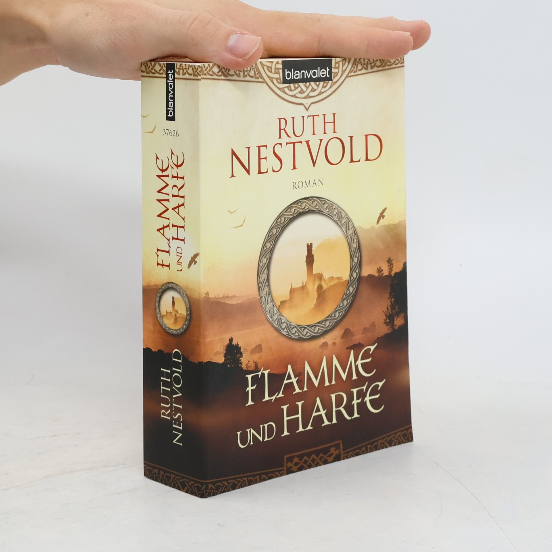 Ruth Nestvold-Mack Flamme und Harfe. Roman