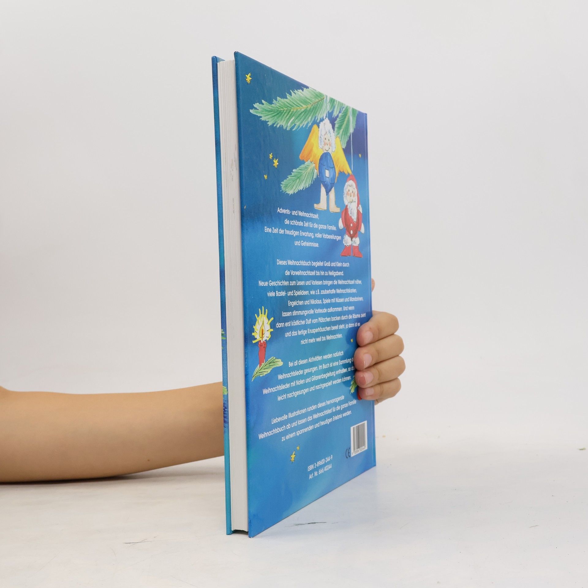 Autorenkollektiv Das große Weihnachtsbuch für die ganze Familie