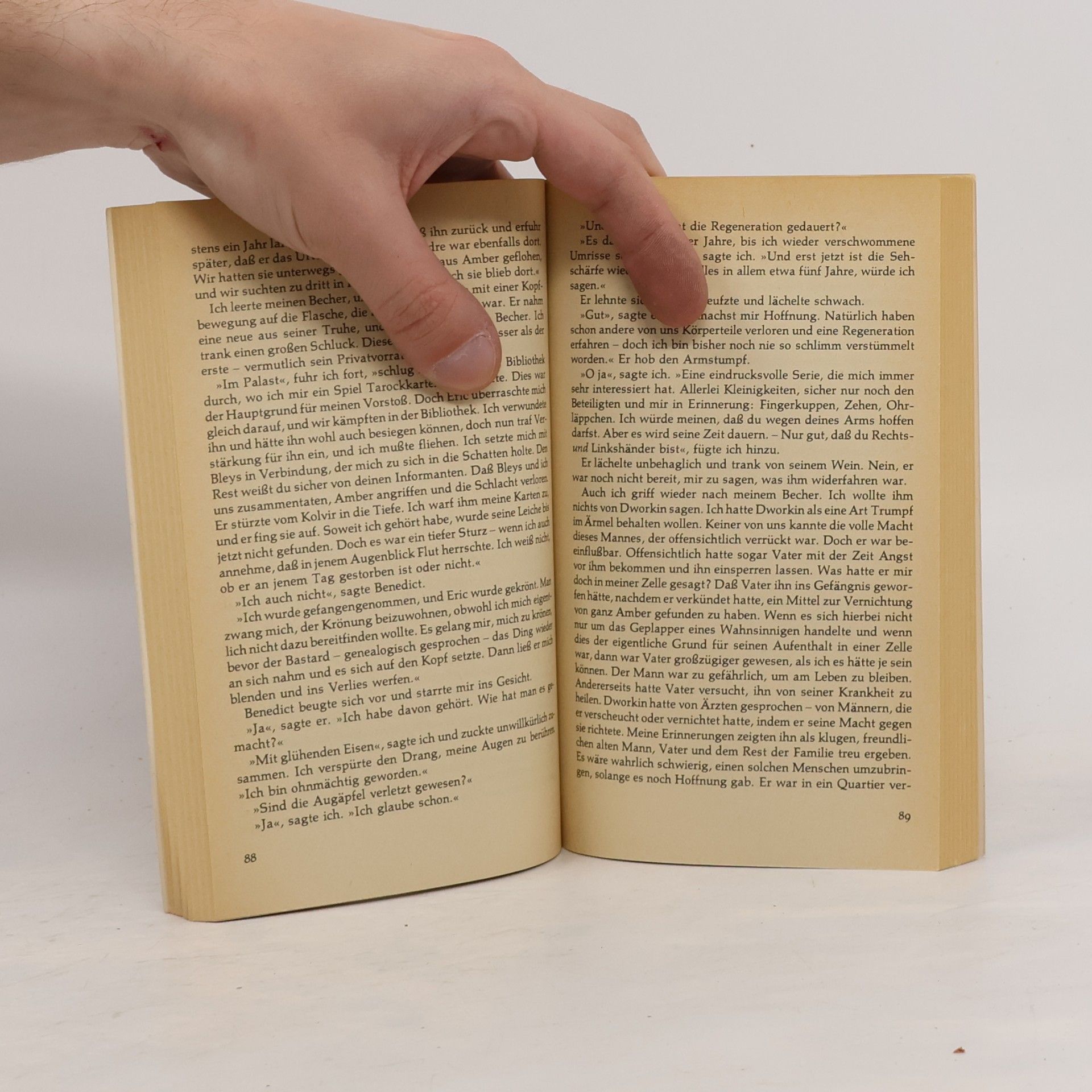 Roger Zelazny Die Gewehre von Avalon