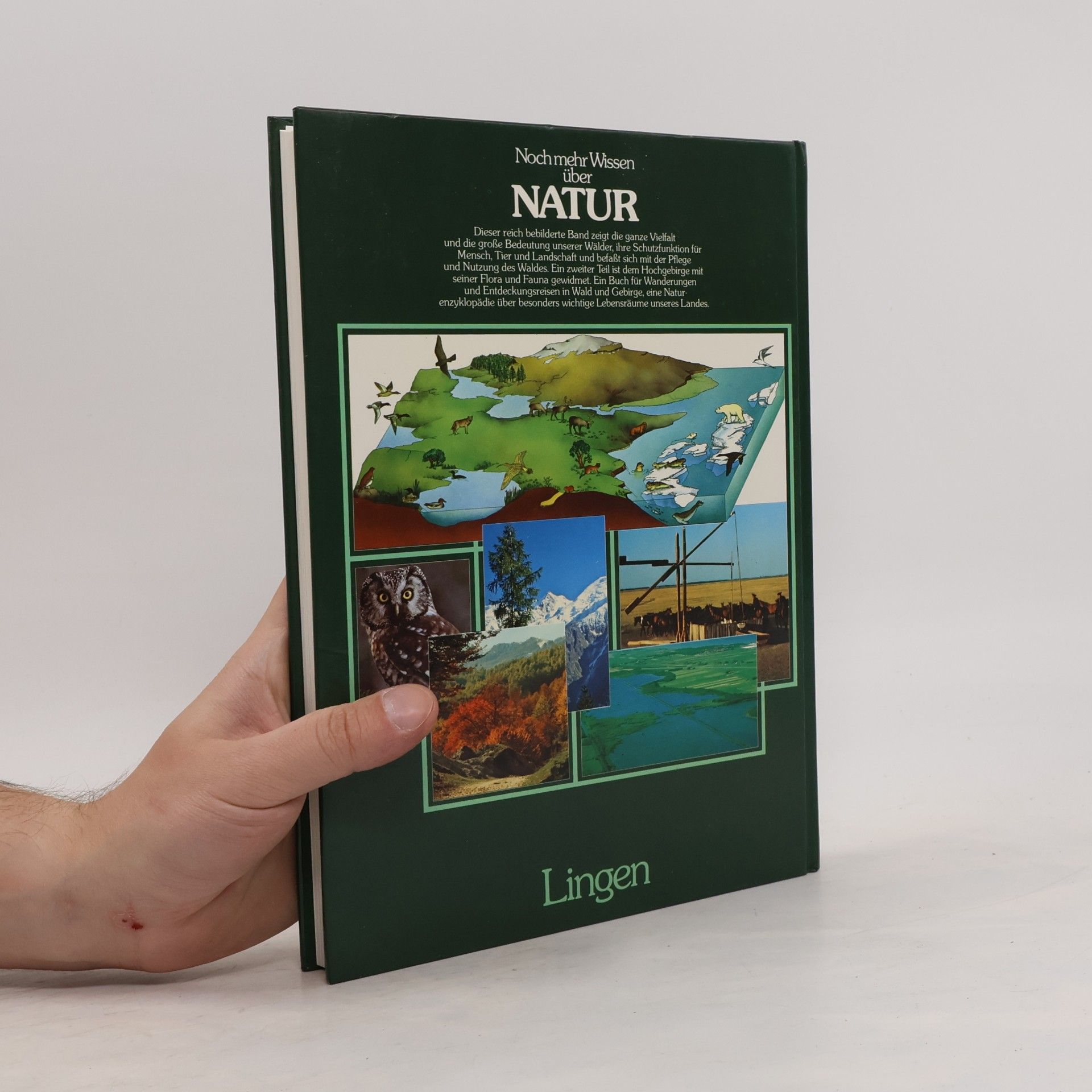 Collectif d'auteurs Noch mehr Wissen über Natur. Berge und Wälder unserer Heimat mit ihrer reichen Tier