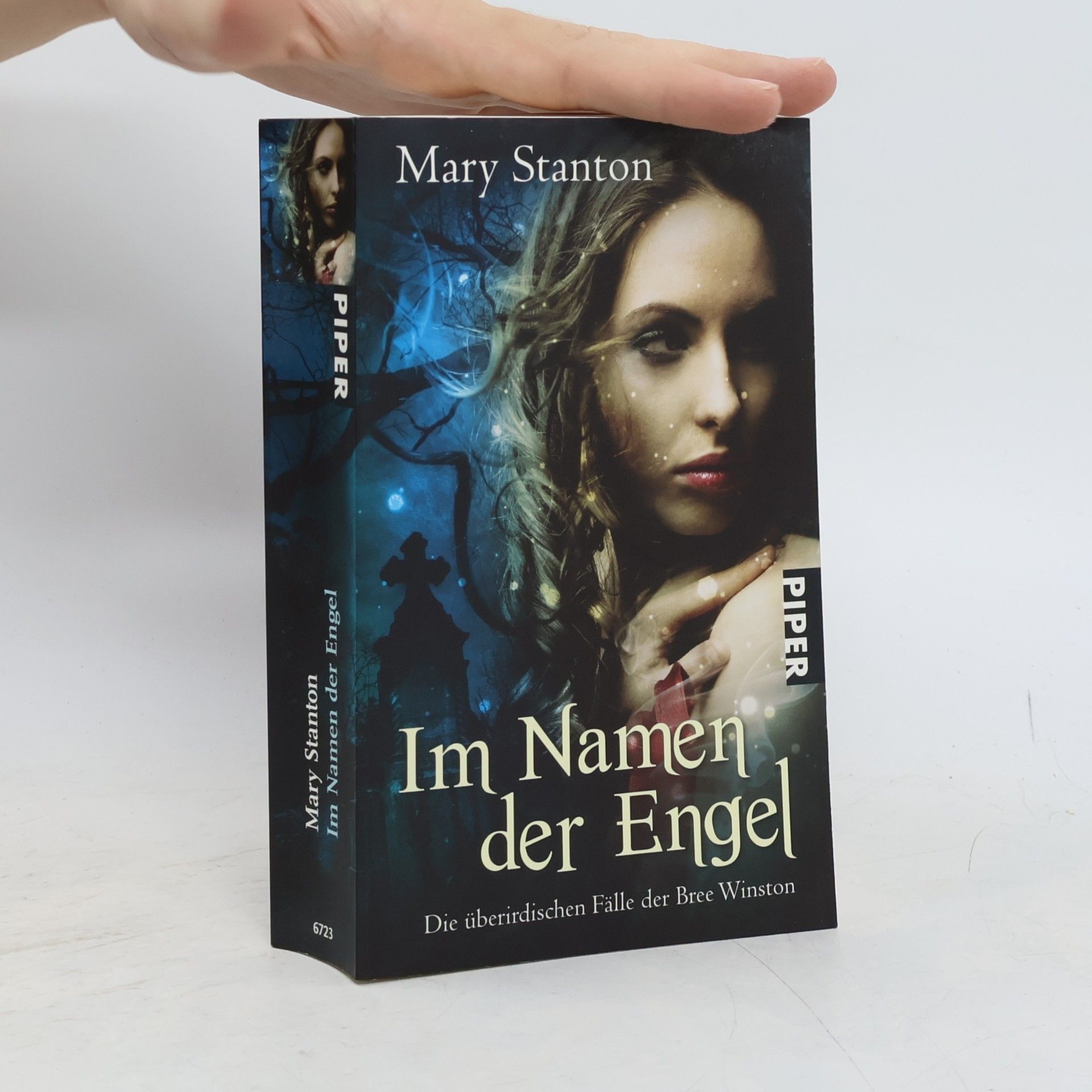 Mary Stanton Die überirdischen Fälle der Bree Winston. Im Namen der Engel