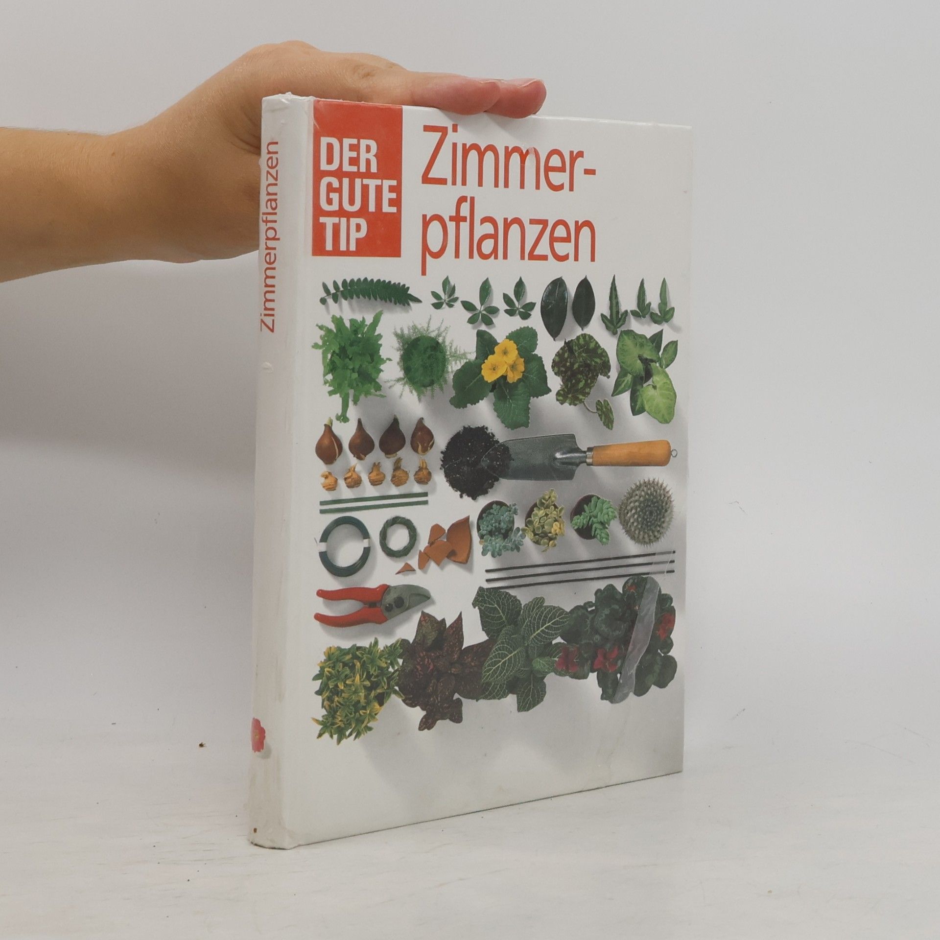 kolektiv Zimmerpflanzen