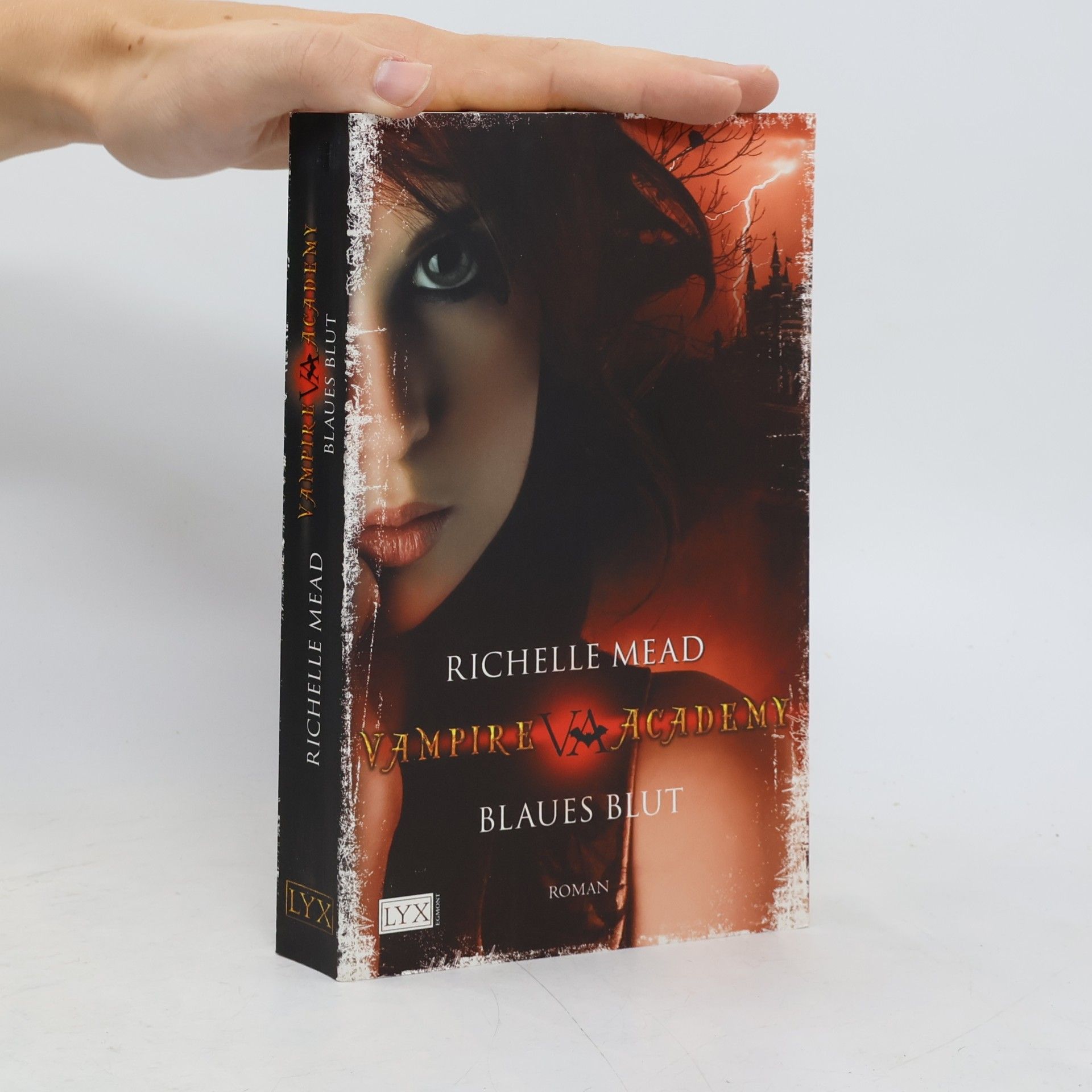 Richelle Mead Vampire Academy. Blaues Blut