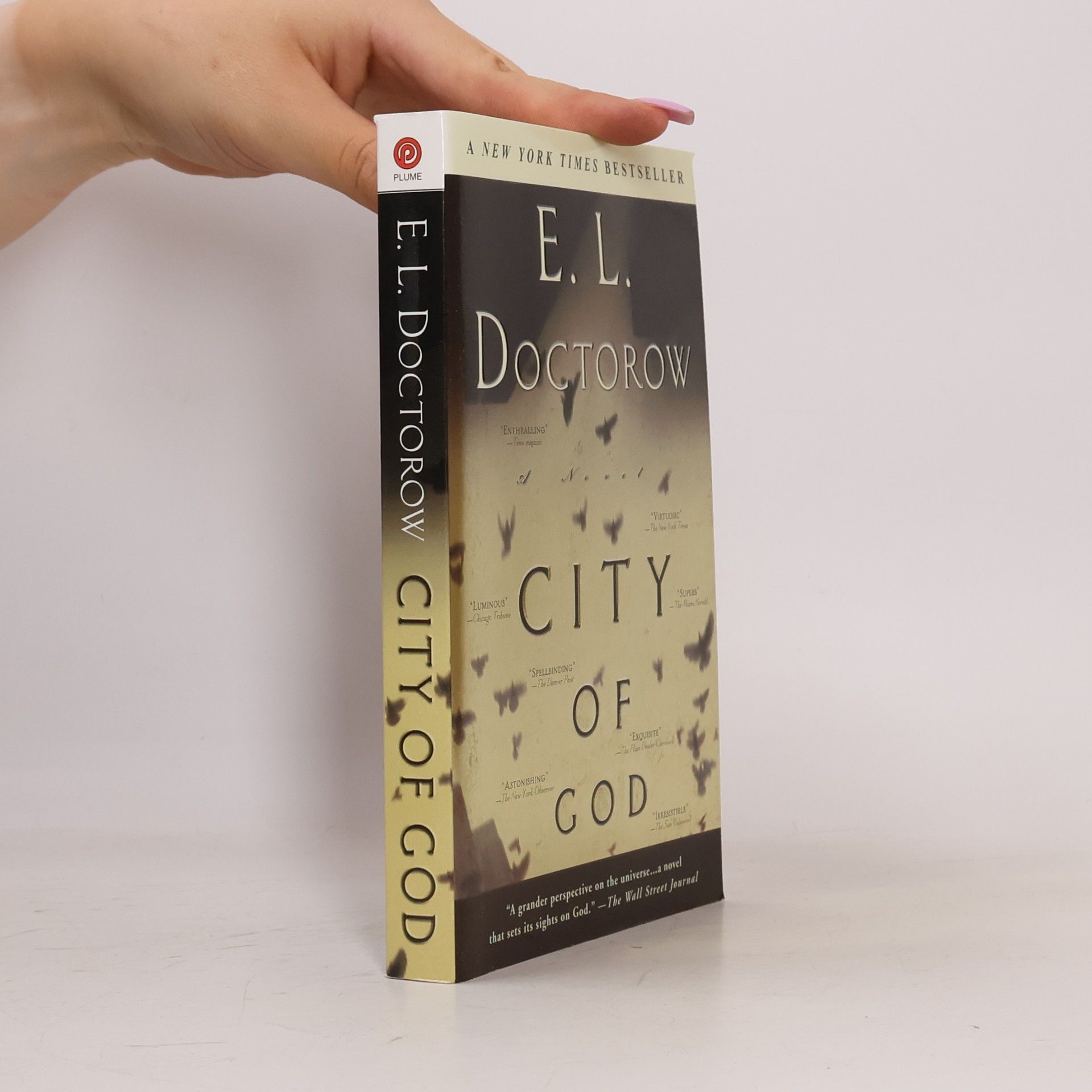 Edgar Lawrence Doctorow City of God