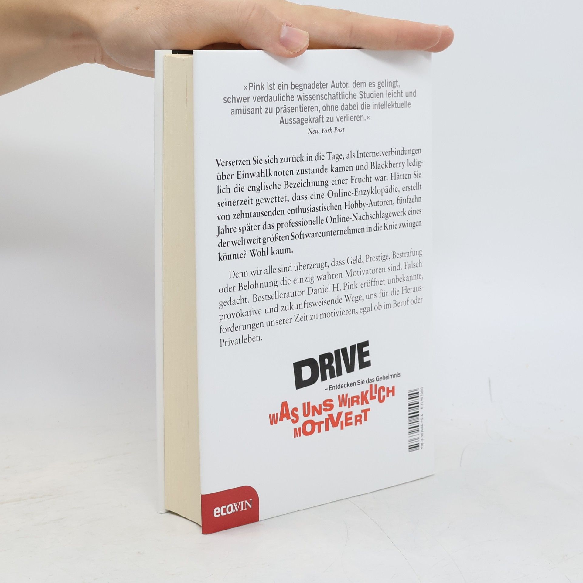 Daniel H. Pink Drive