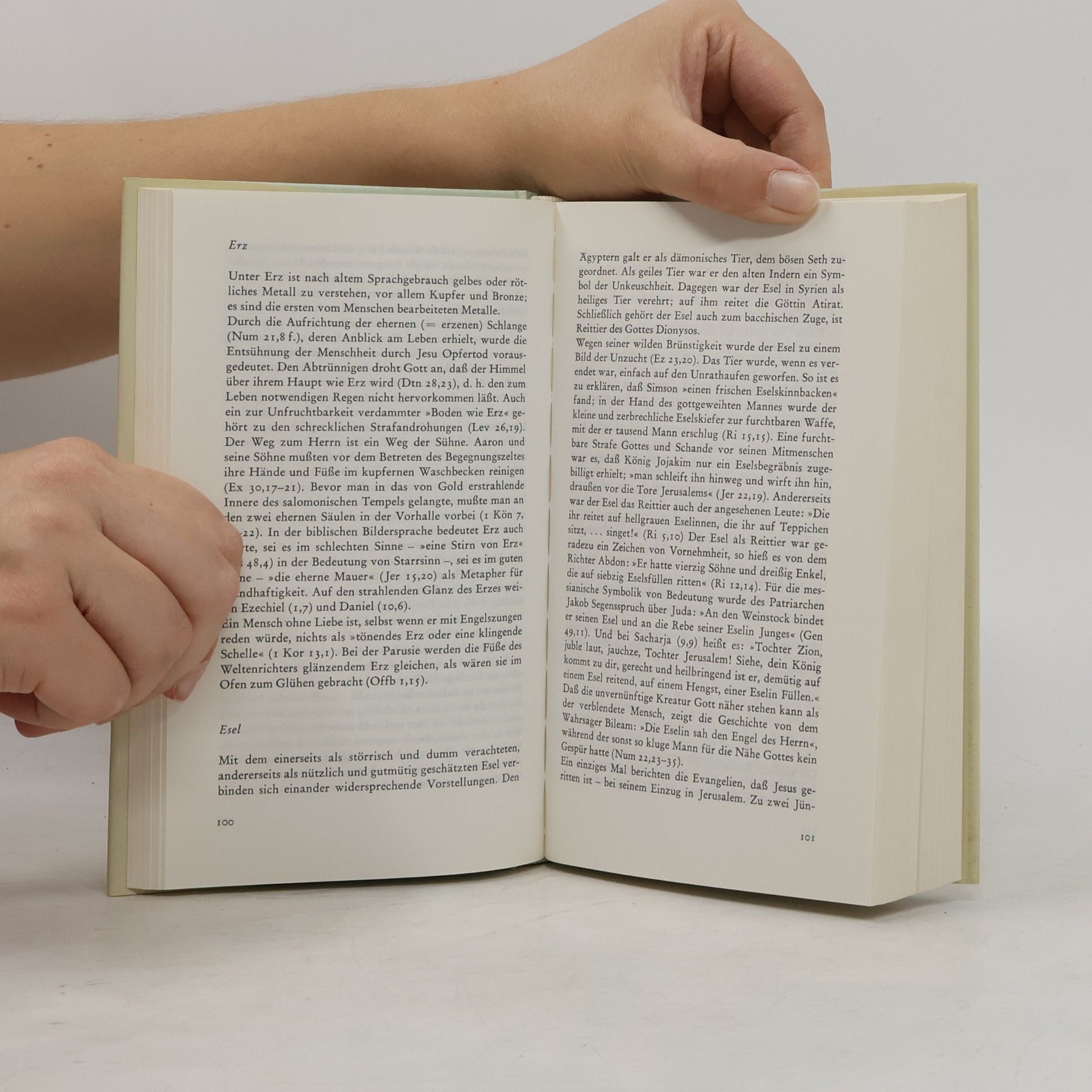 Manfred Lurker Wörterbuch biblischer Bilder und Symbole