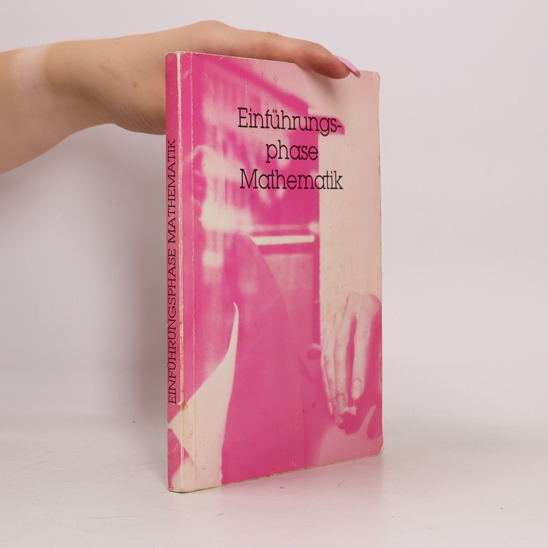 Marion Dickau Einführungsphase Mathematik
