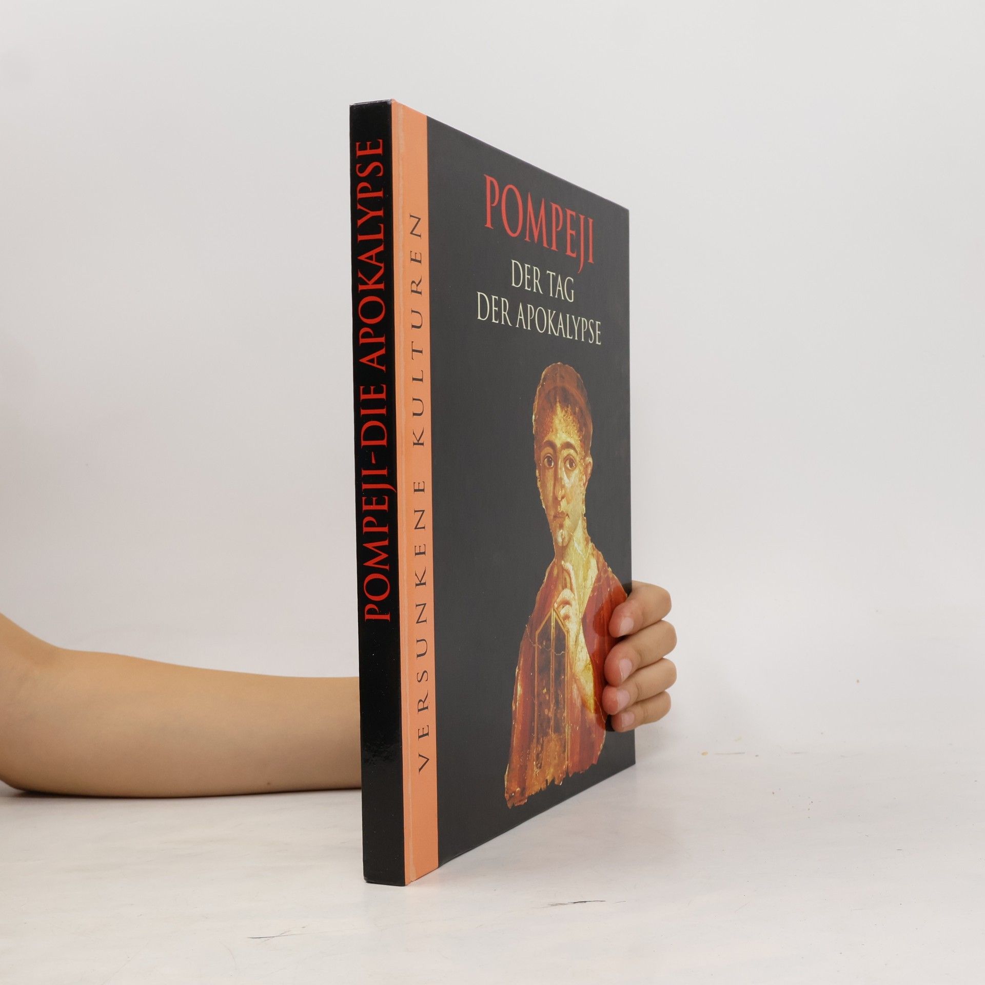 Marianne Tölle Pompeji: der Tag der Apokalypse