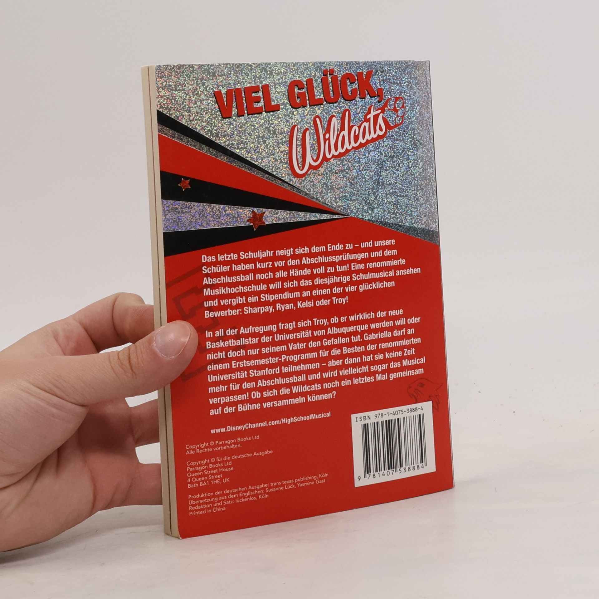 N. B. Grace High school musical 3. Senior year. Das Buch zum Film