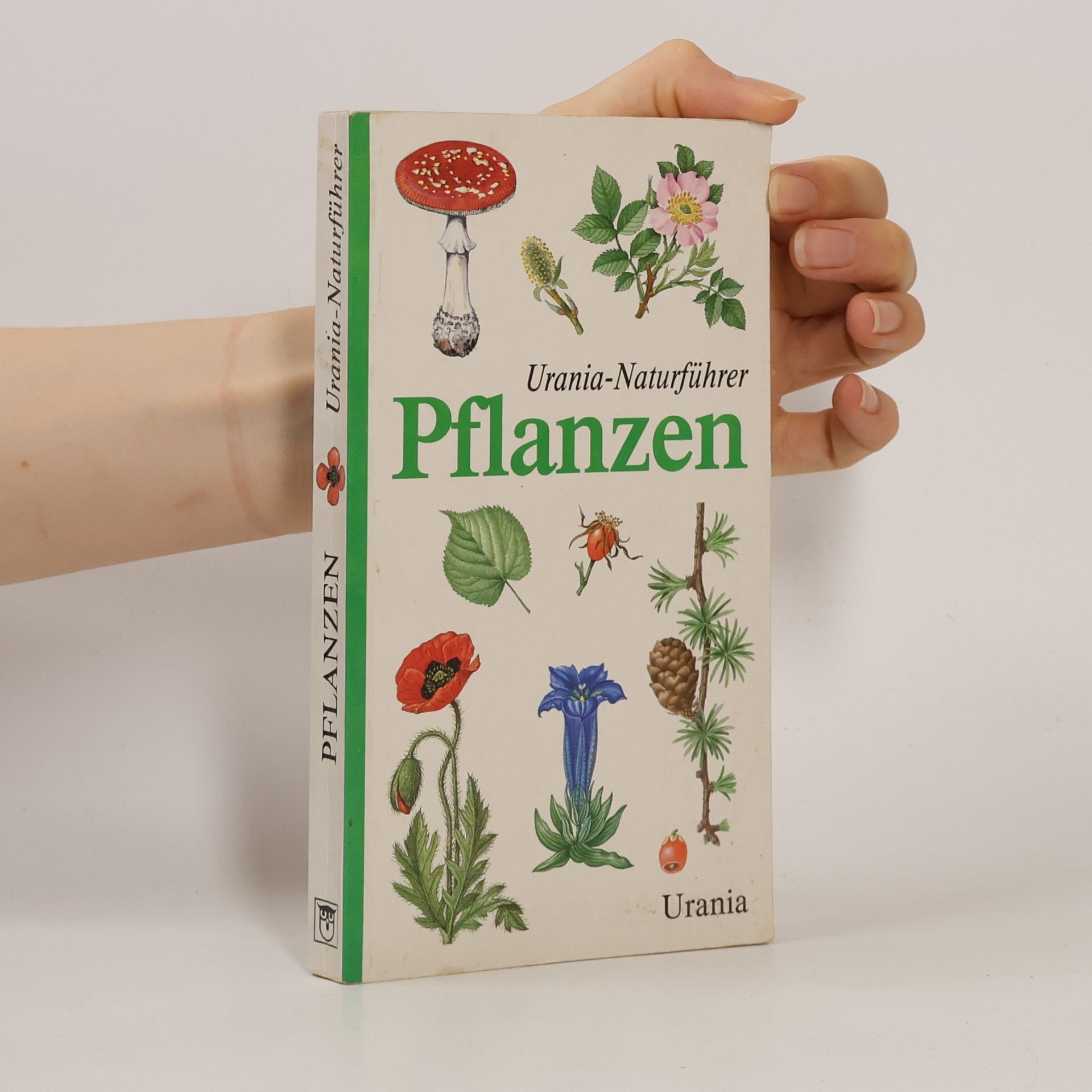 Johannes Petermann Urania-Naturführer Pflanzen