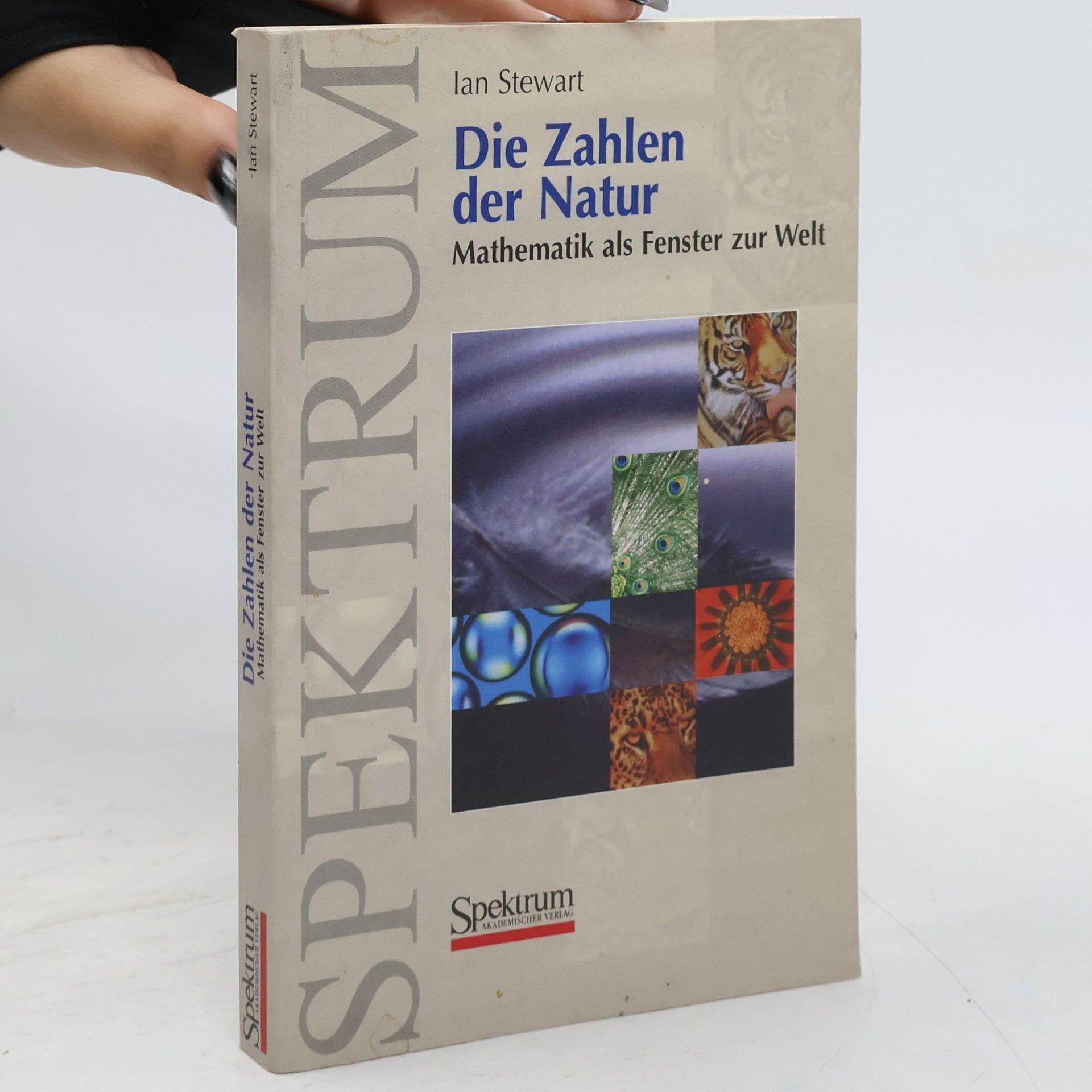 Ian Stewart Die Zahlen der Natur