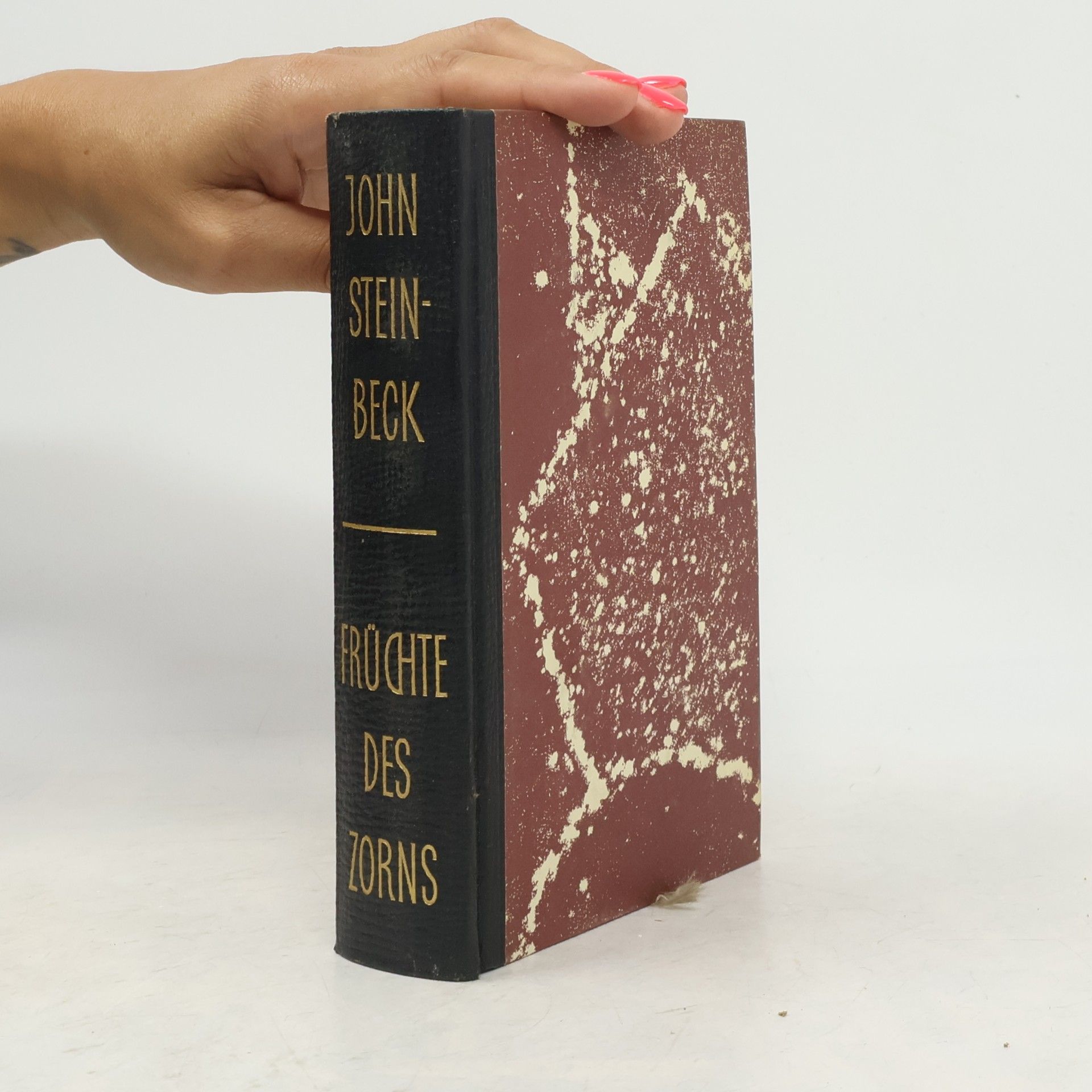 John Steinbeck Früchte des Zorns