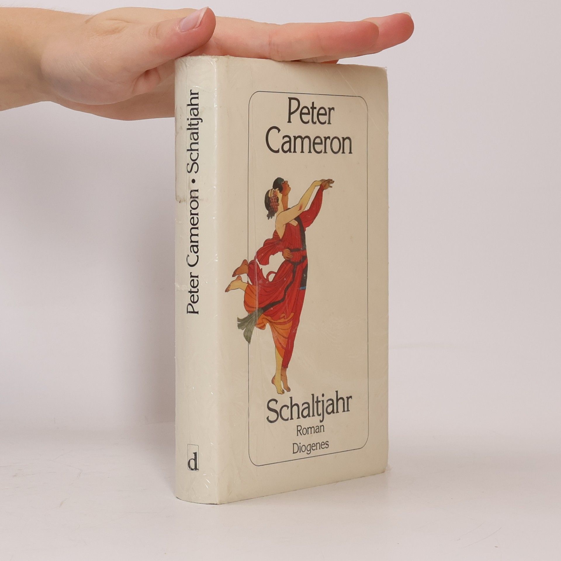 Peter Cameron Schaltjahr