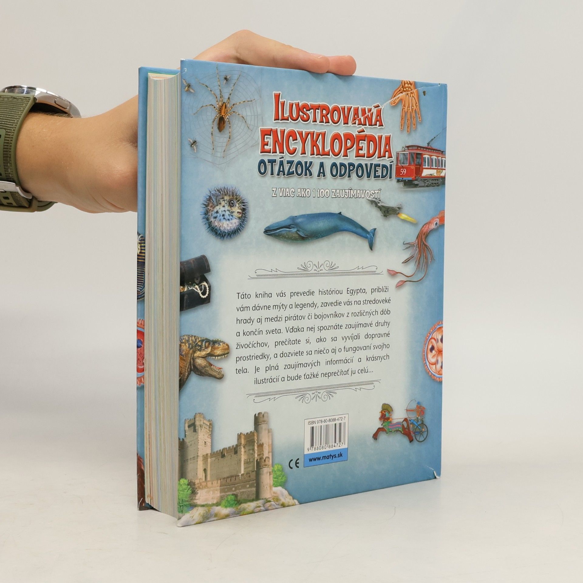 Autorenkollektiv Ilustrovaná encyklopédia otázok a odpovedí