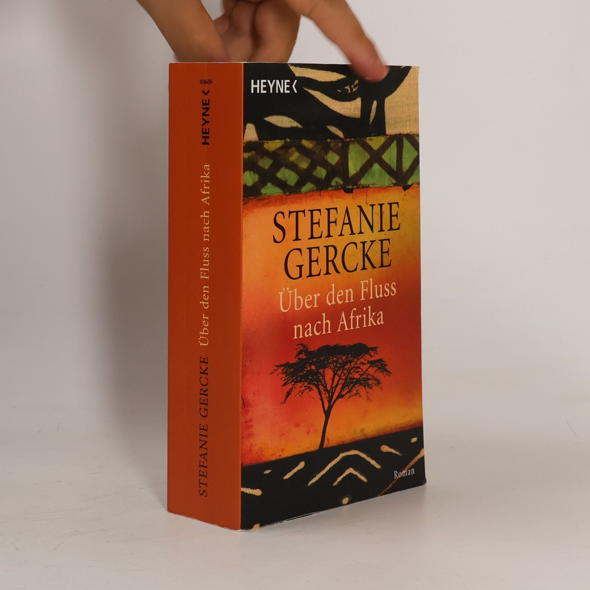 Stefanie Gercke Über den Fluss nach Afrika