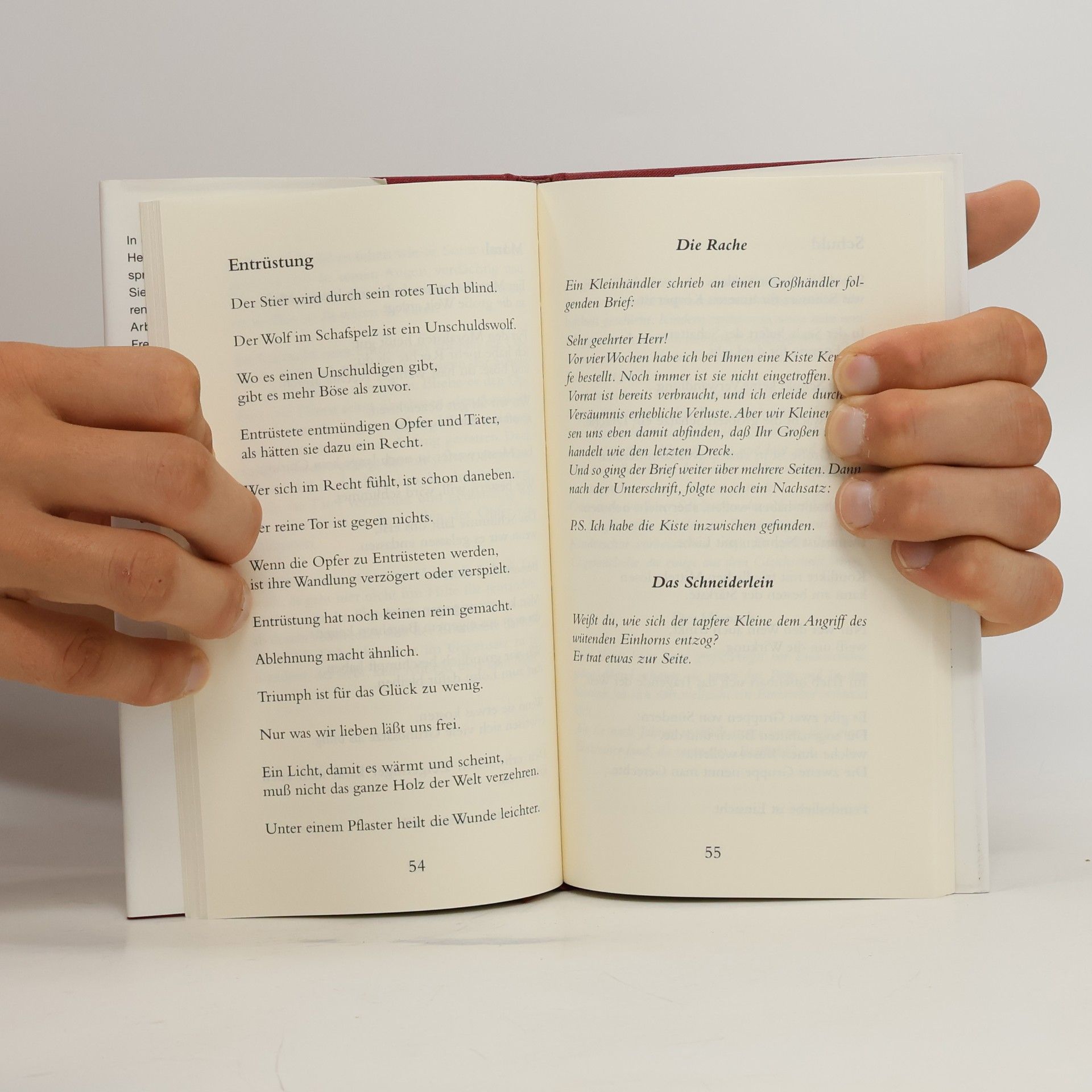 Bert Hellinger Verdichtetes. Sinnsprüche, kleine Geschichten, Sätze der Kraft
