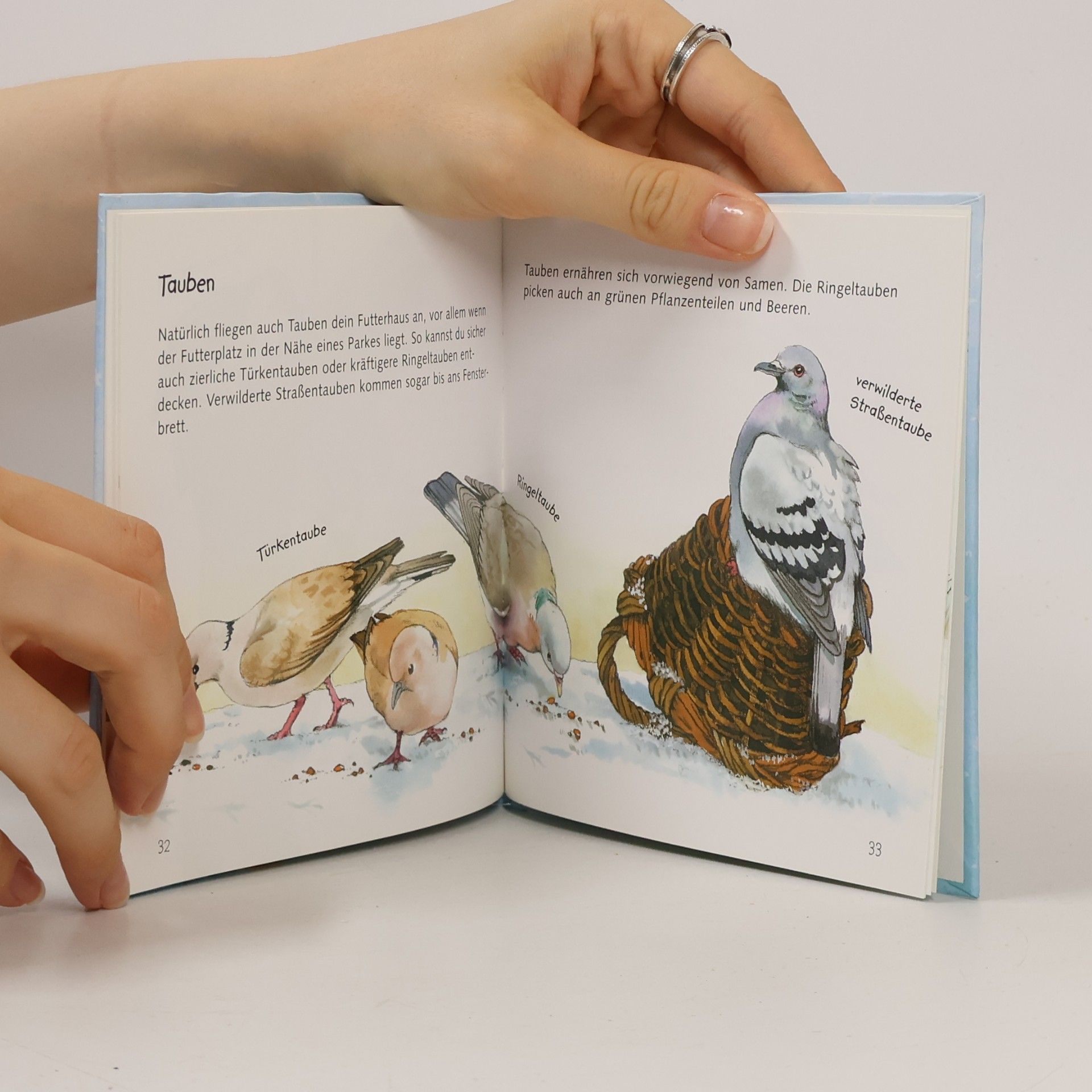 Thea Roß Kreativ- und Sachbücher: Vögel im Winter bei dir zu Gast