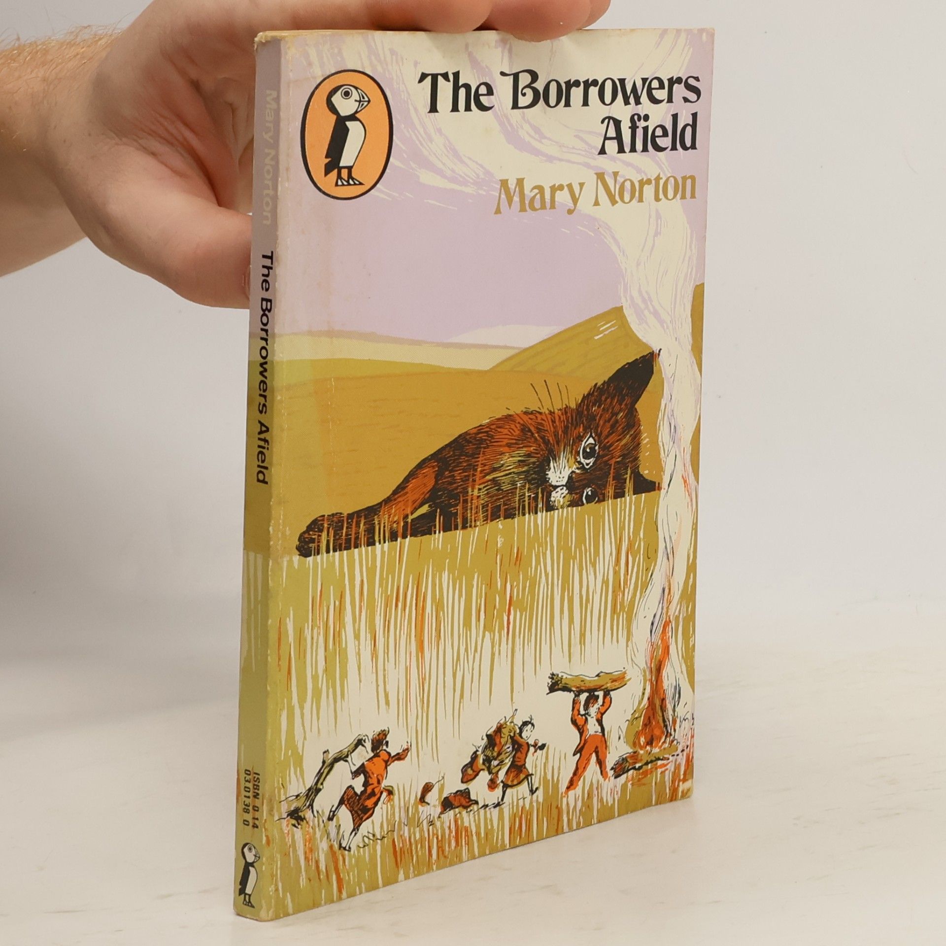 Mary Norton Puffin Books: The Borrowers Afield
